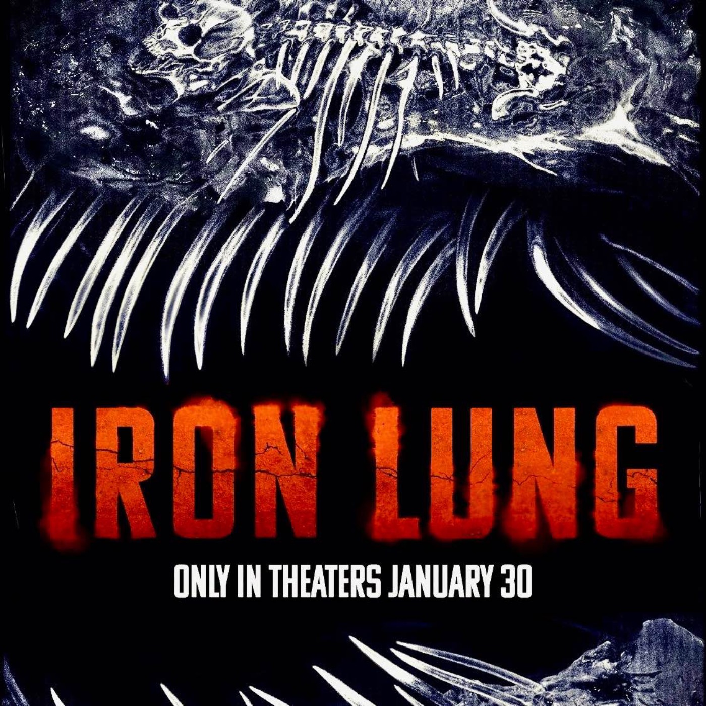 XCELLENT WORLD NETWORK