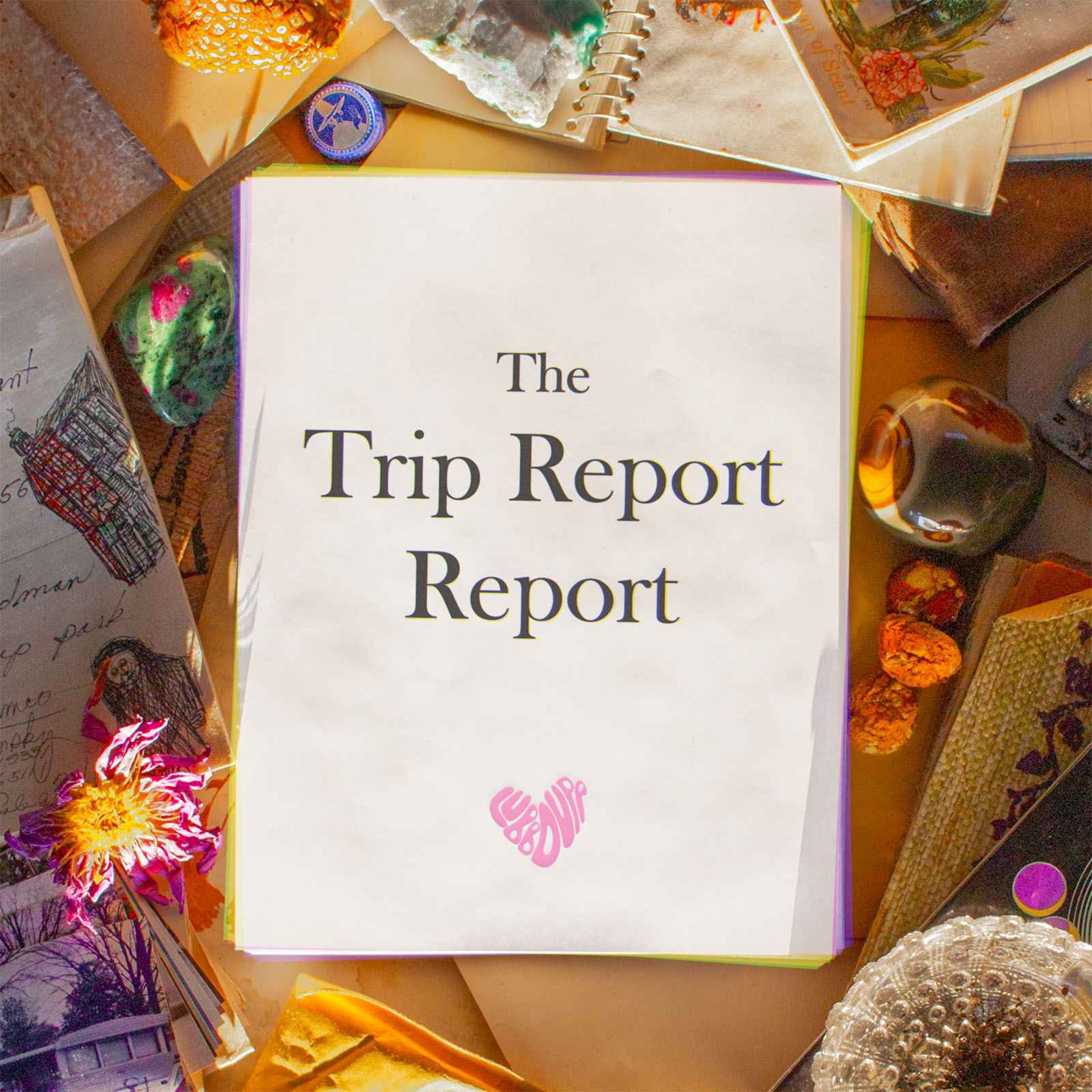 The Trip Report Report