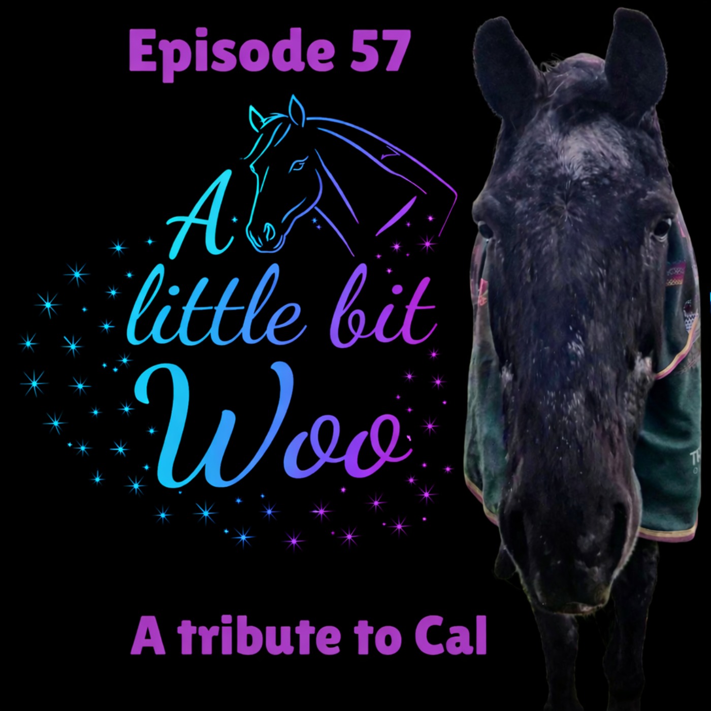 A tribute to Cal episode artwork