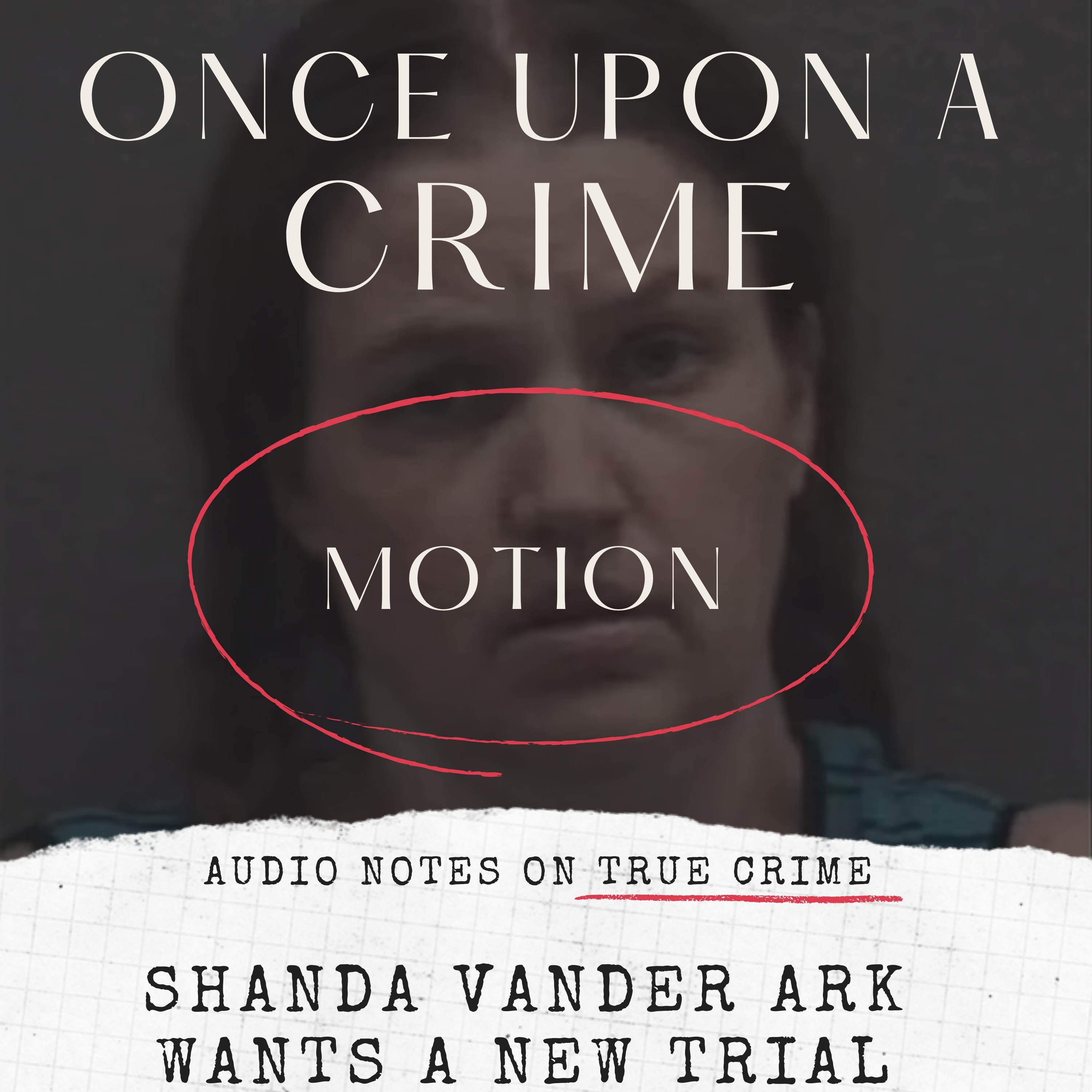 MOTION HEARING: SHANDA VANDER ARK WANTS A NEW TRIAL