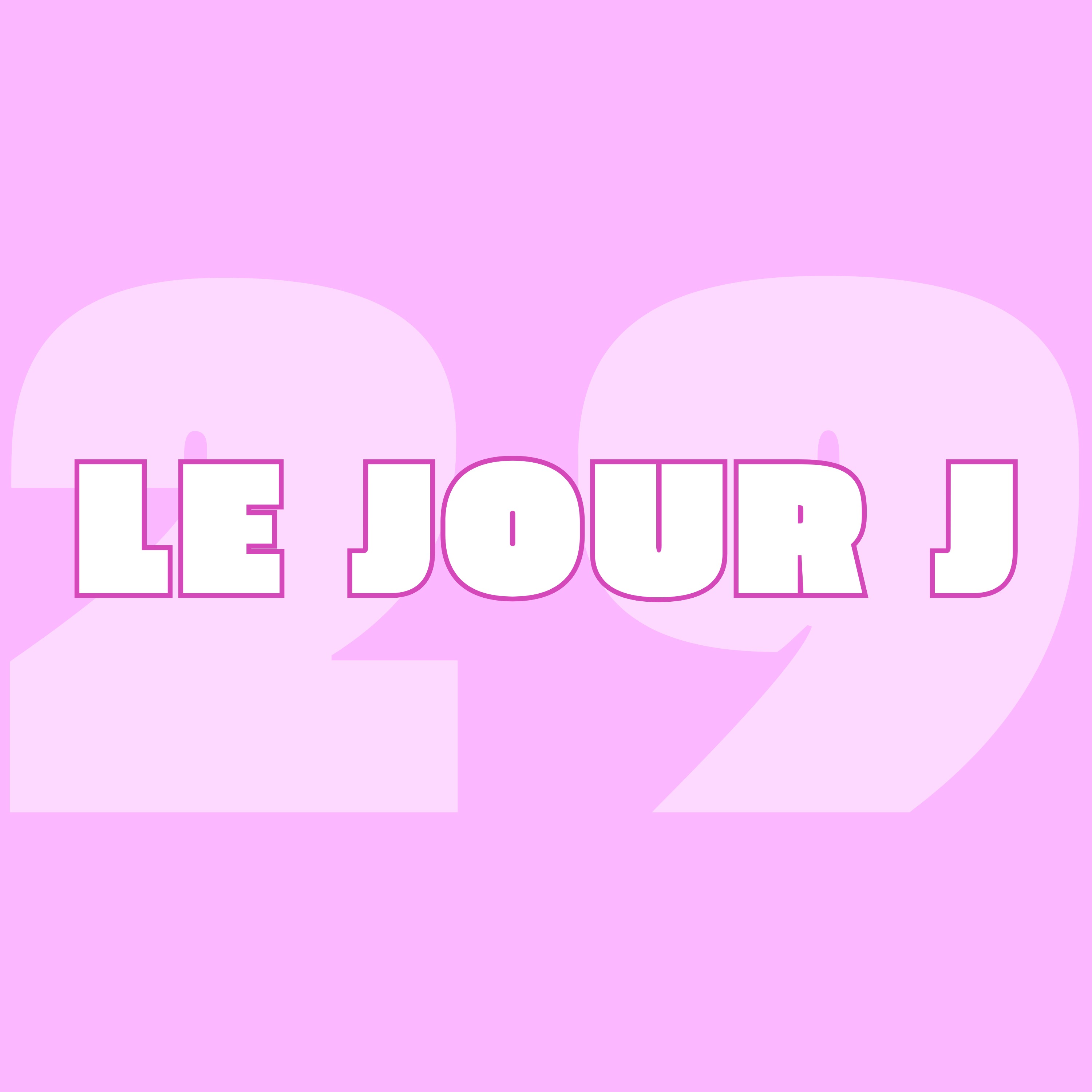 29. On s'est MARIÉS !! (et c'était EXCEPTIONNEL !!)