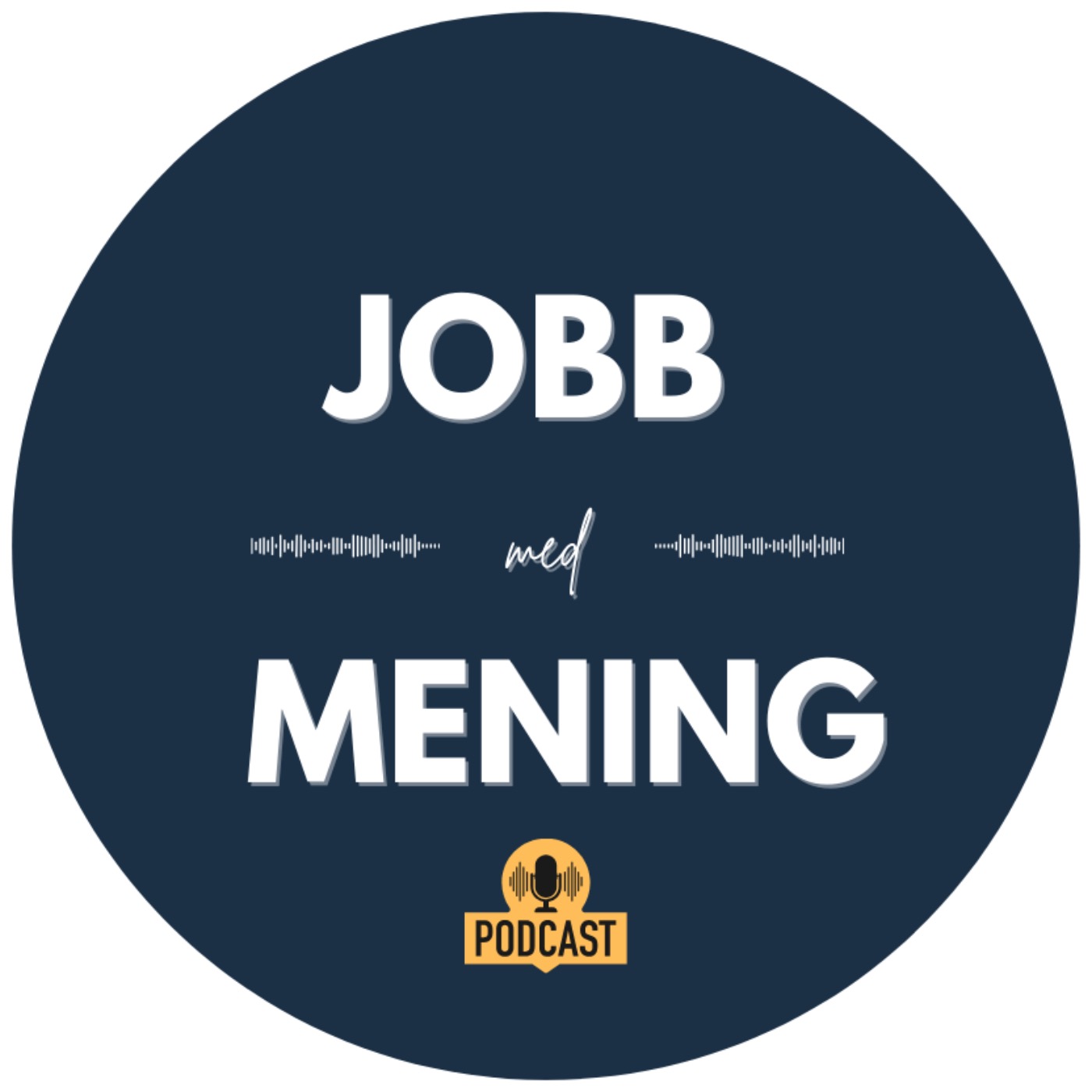 Jobb med mening