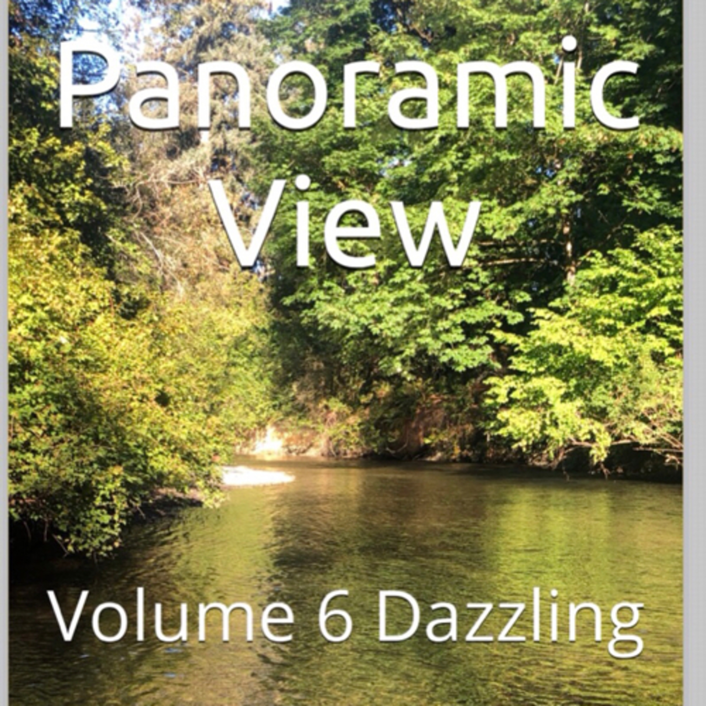 Book 101 Review