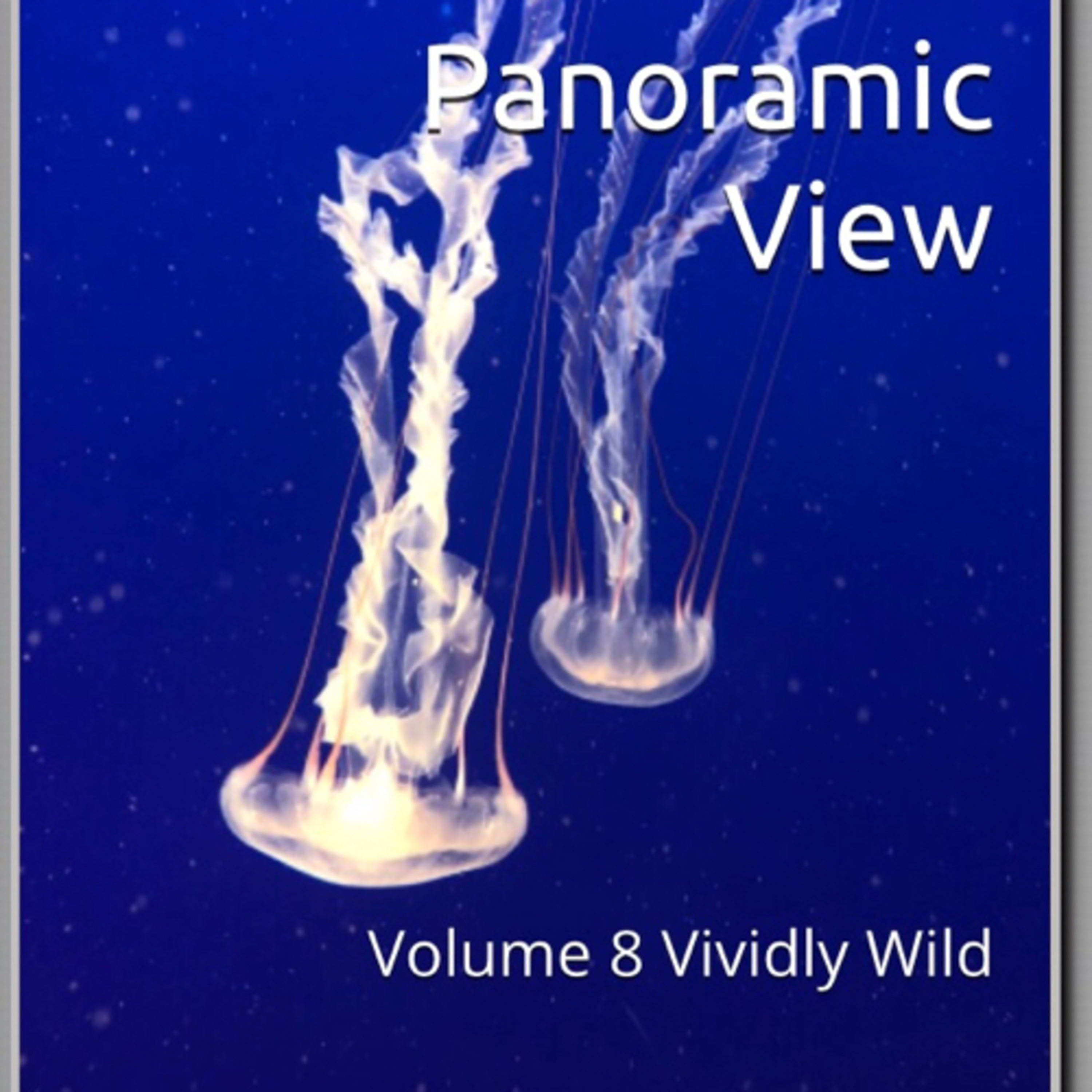 Book 101 Review