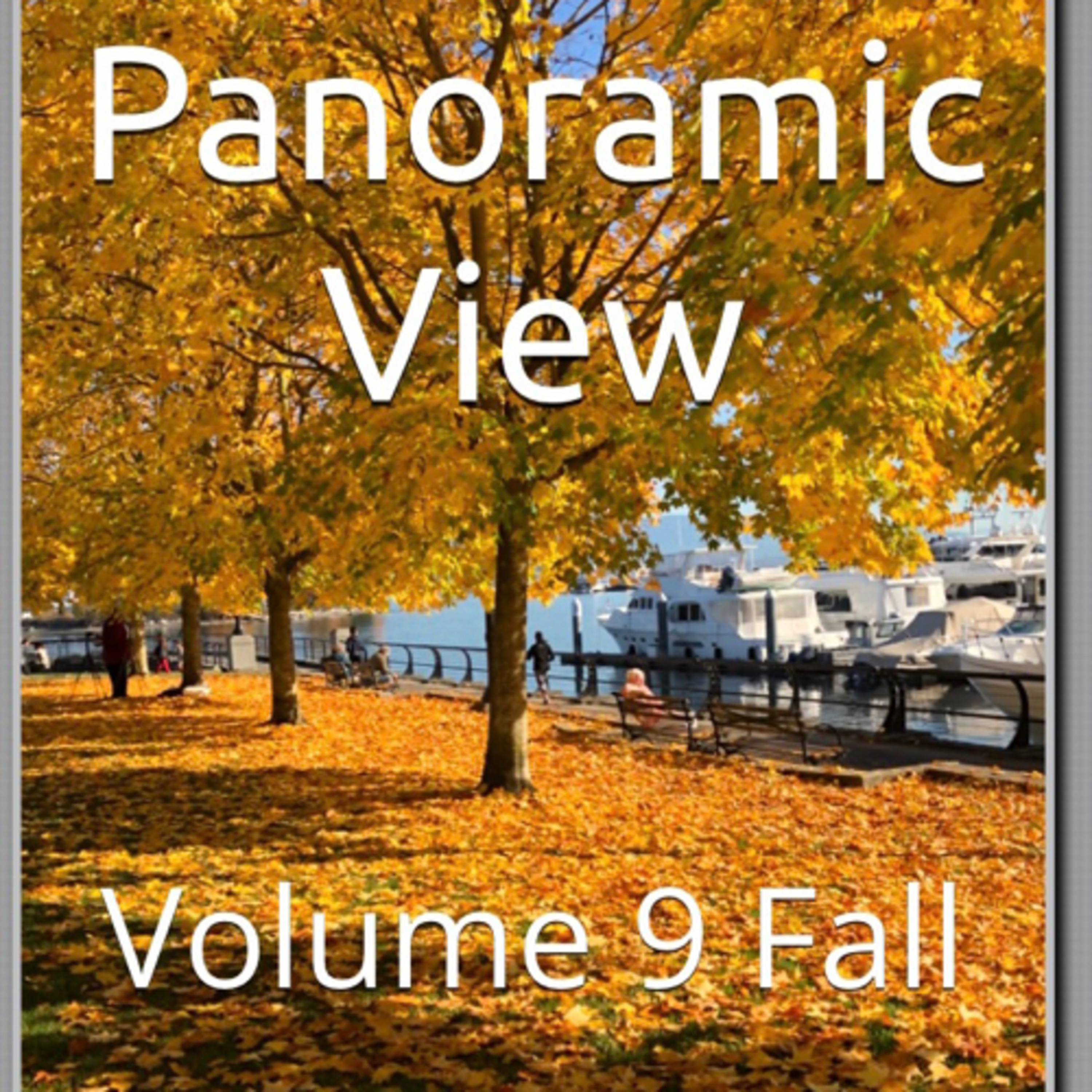 Book 101 Review