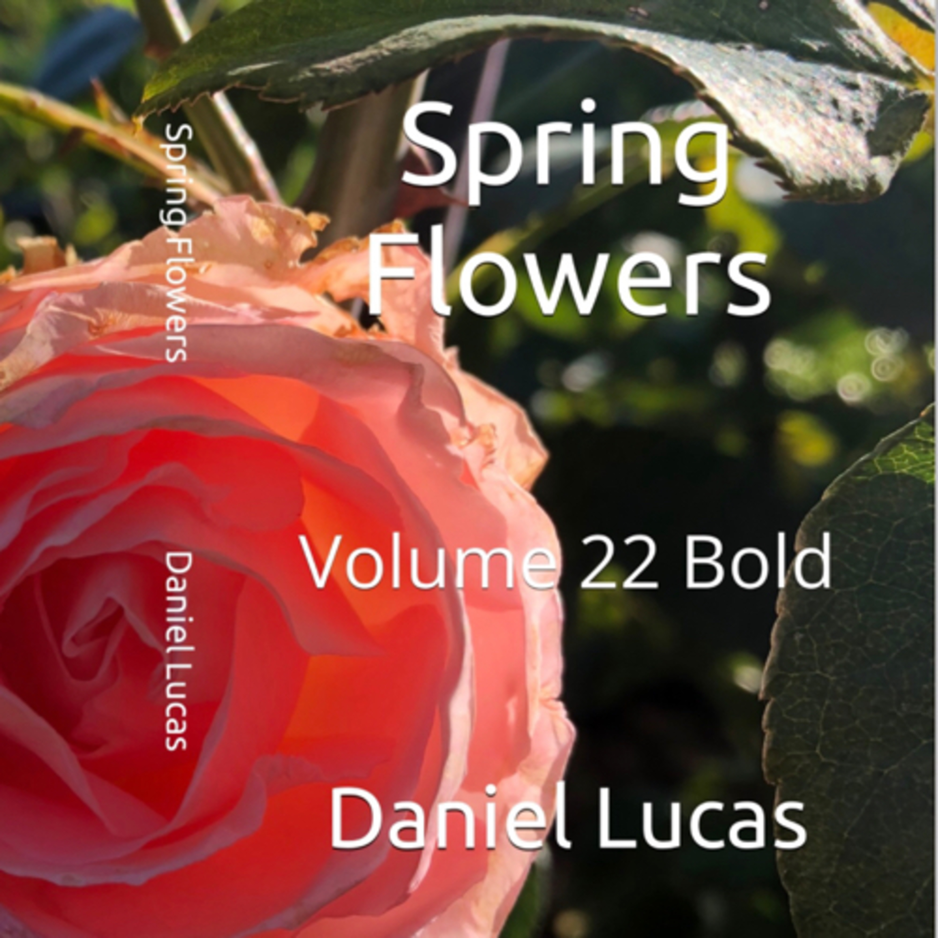 Book 101 Review