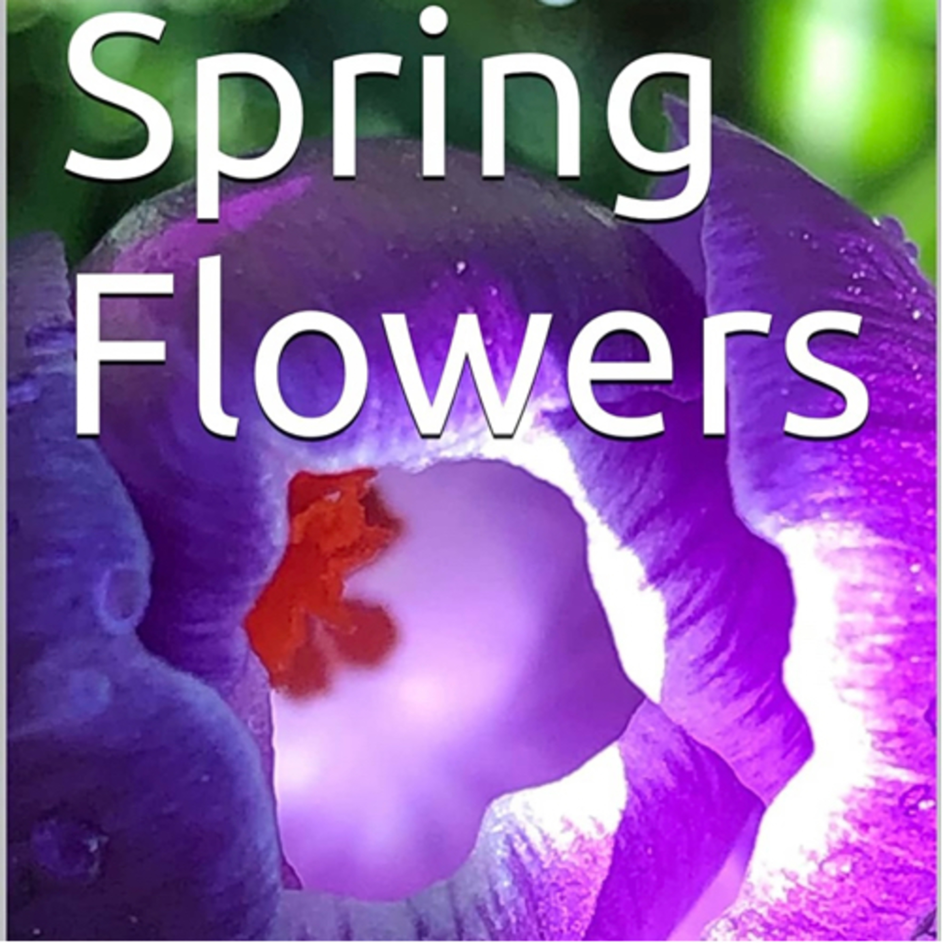 Book 101 Review