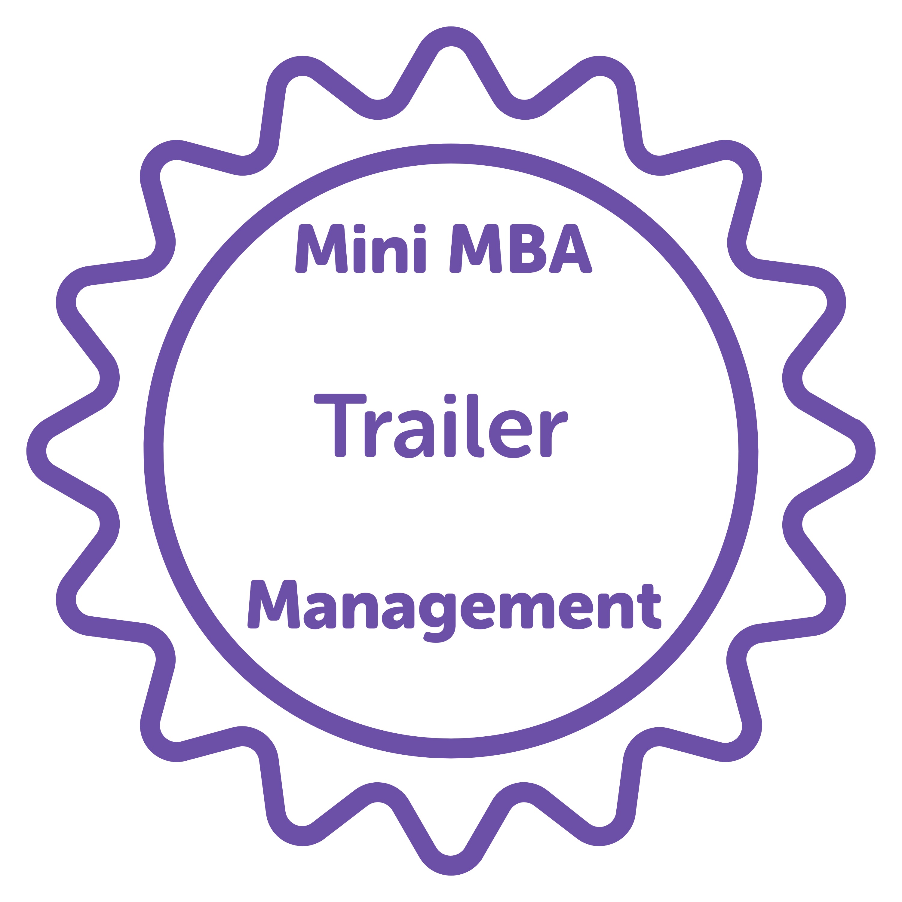 Mini MBA in Management