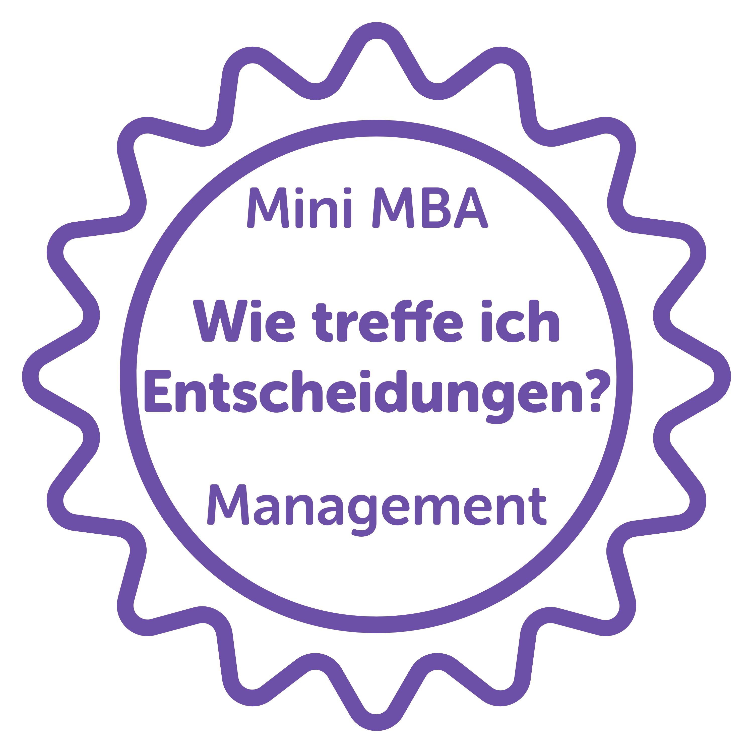 Mini MBA in Management