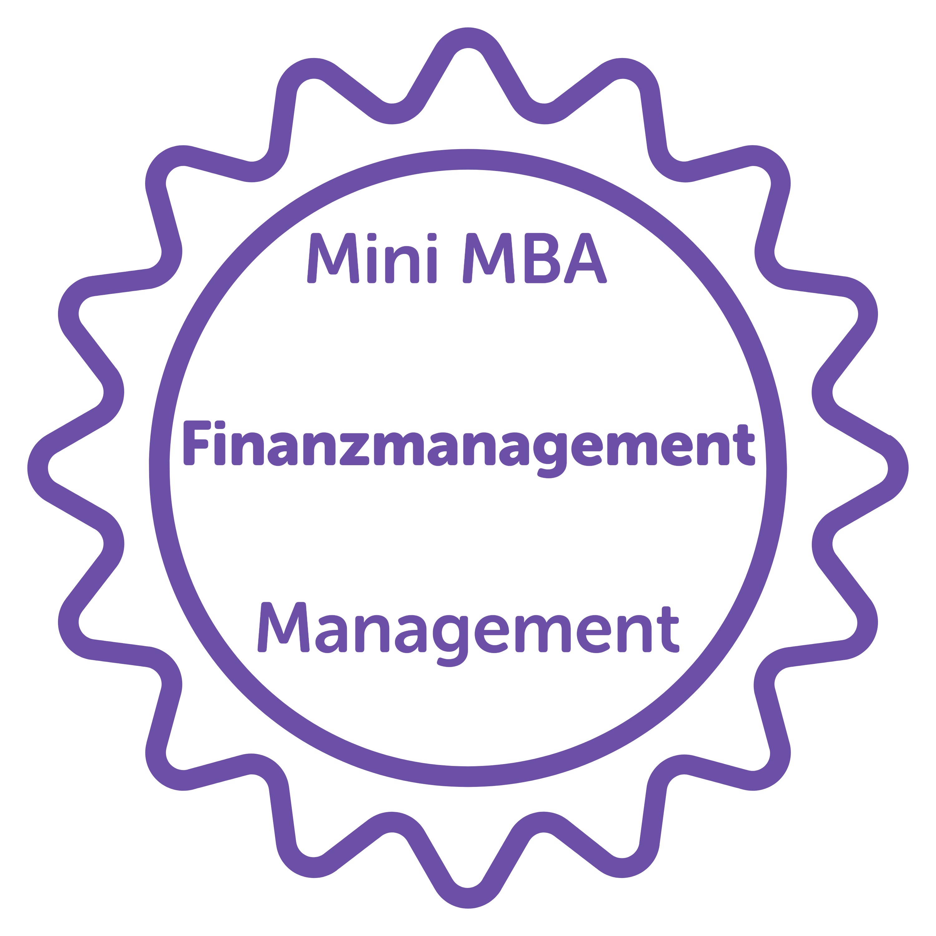 Mini MBA in Management