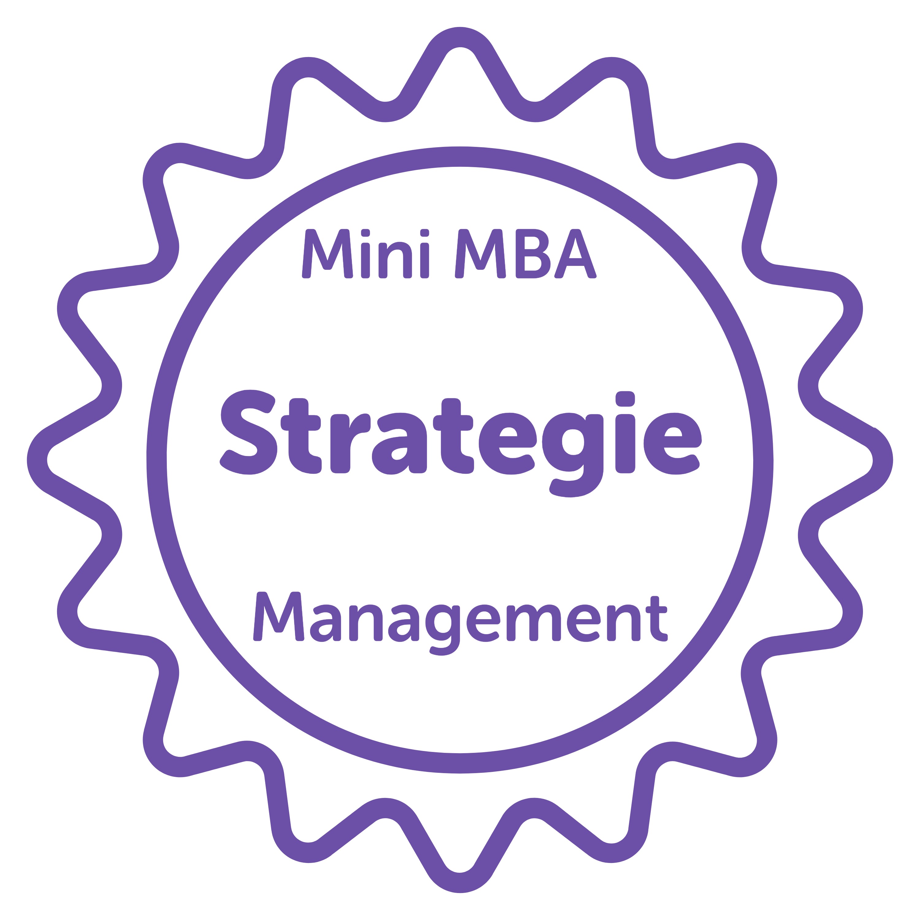Mini MBA in Management