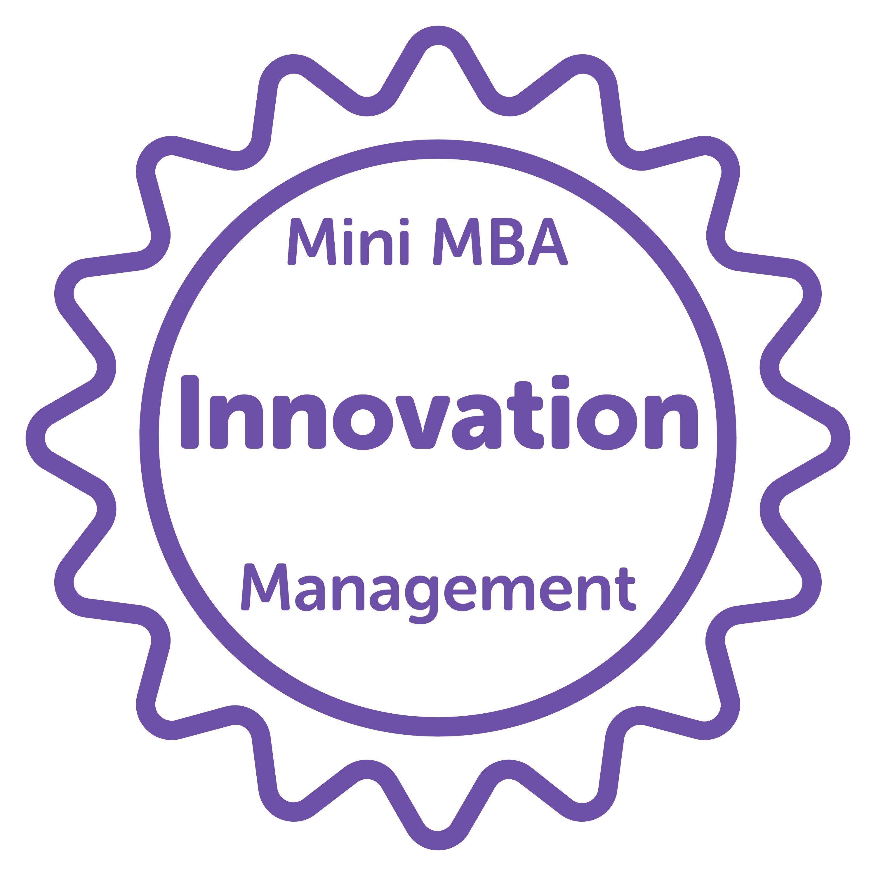 Mini MBA in Management