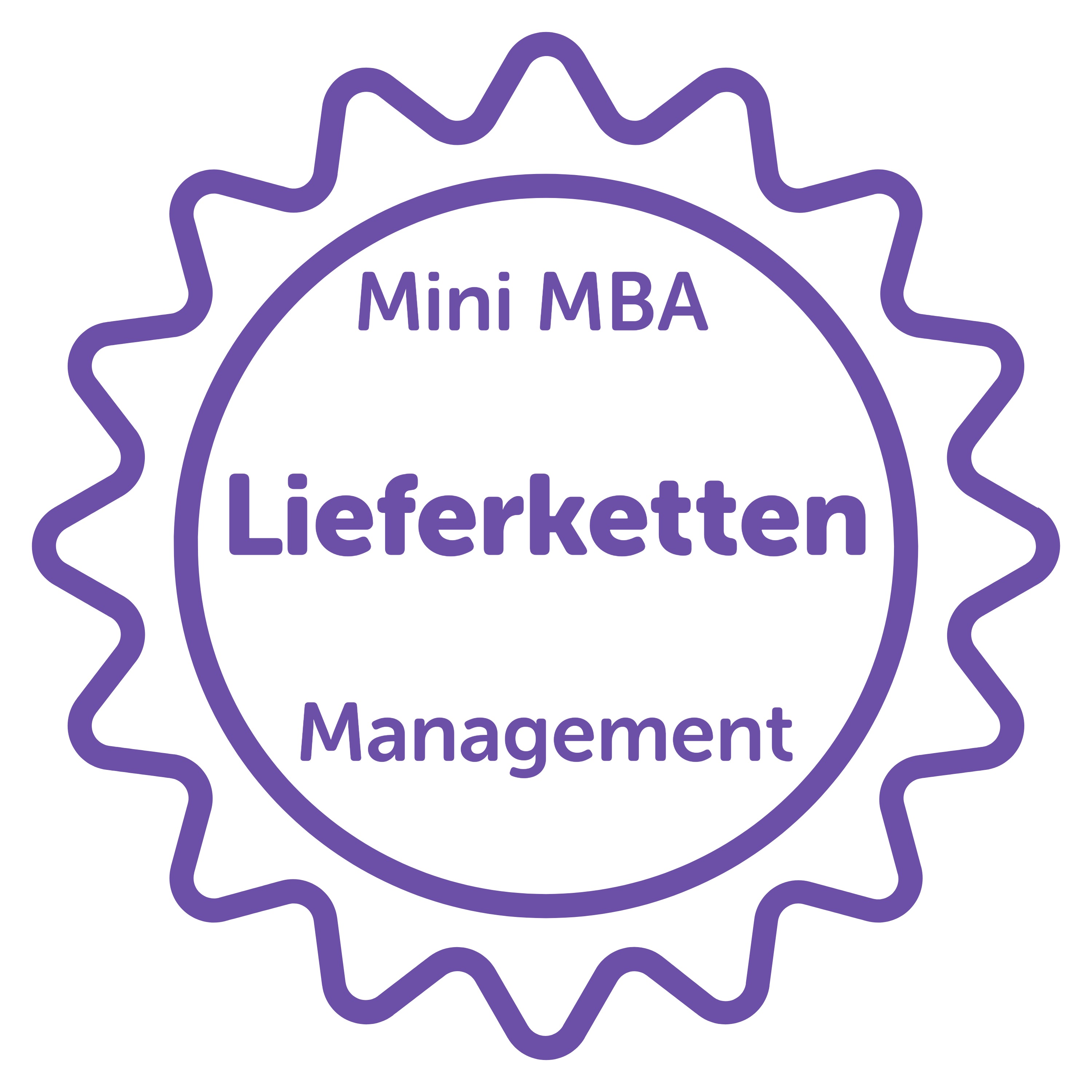 Mini MBA in Management
