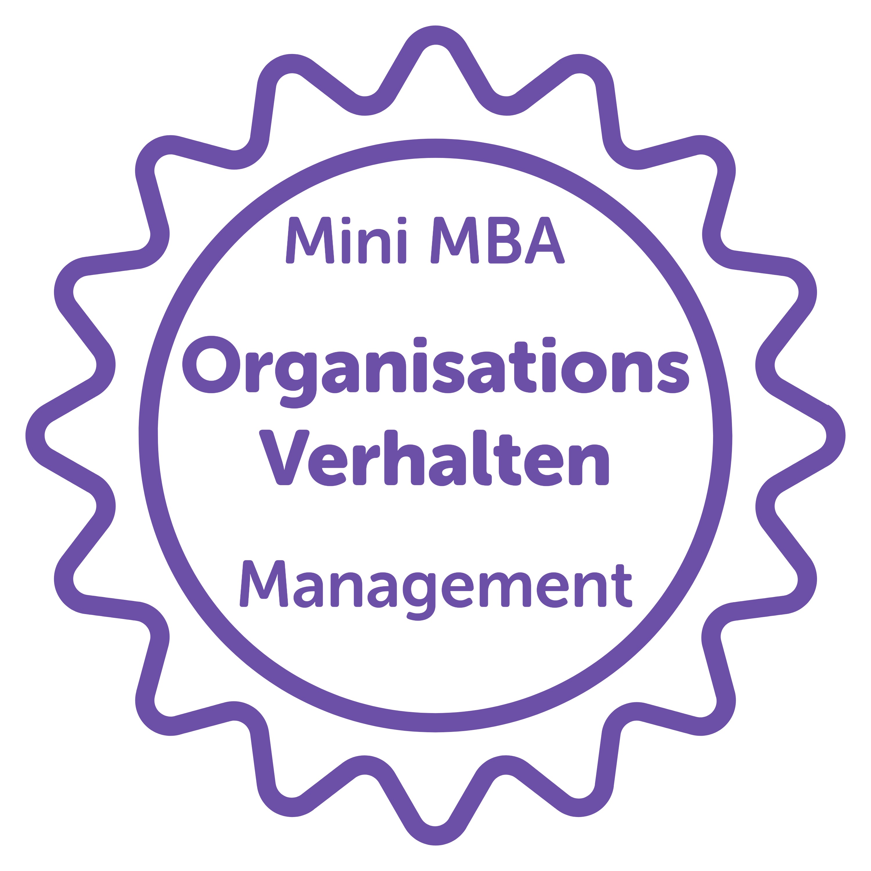 Mini MBA in Management