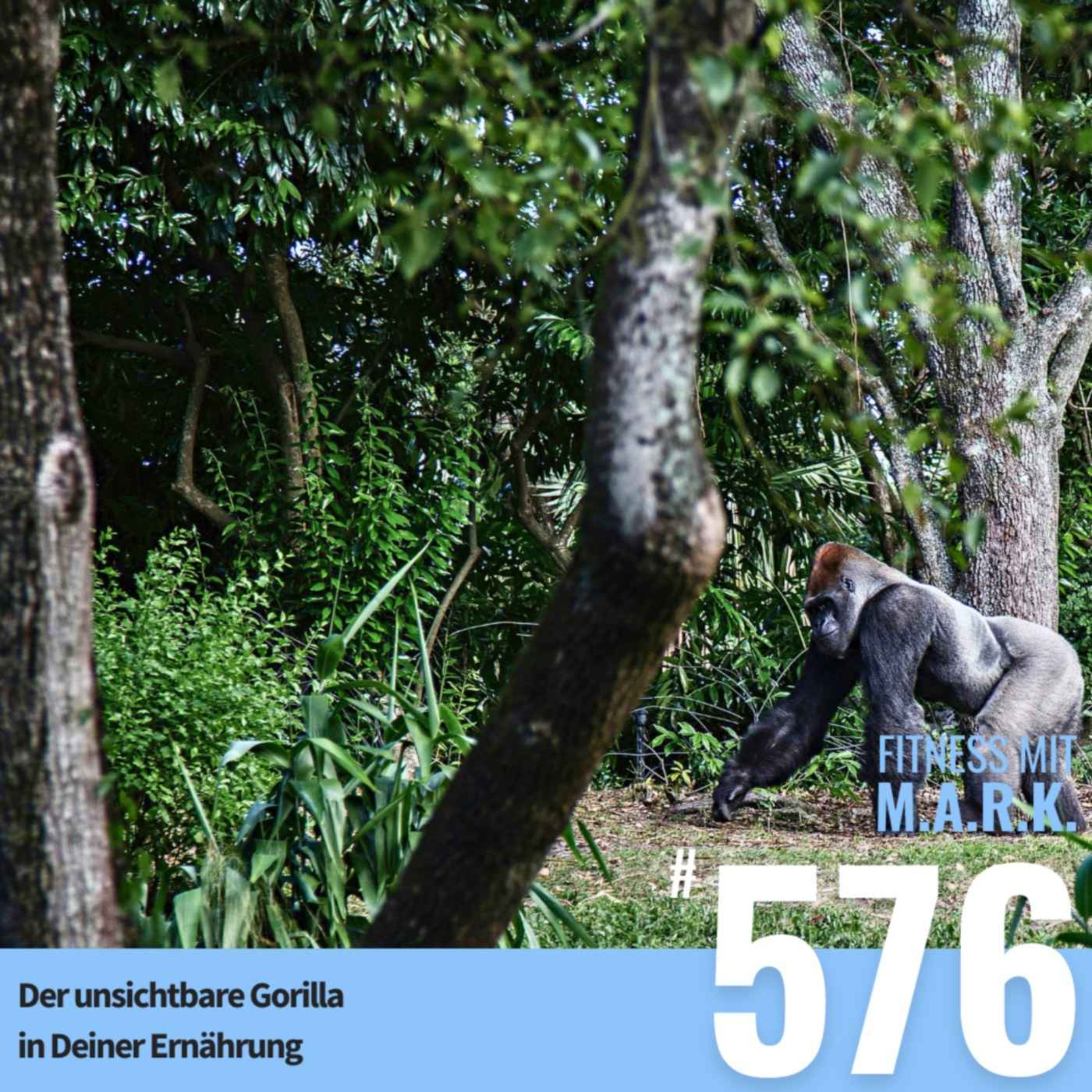 Der unsichtbare Gorilla in Deiner Ernährung (#576)