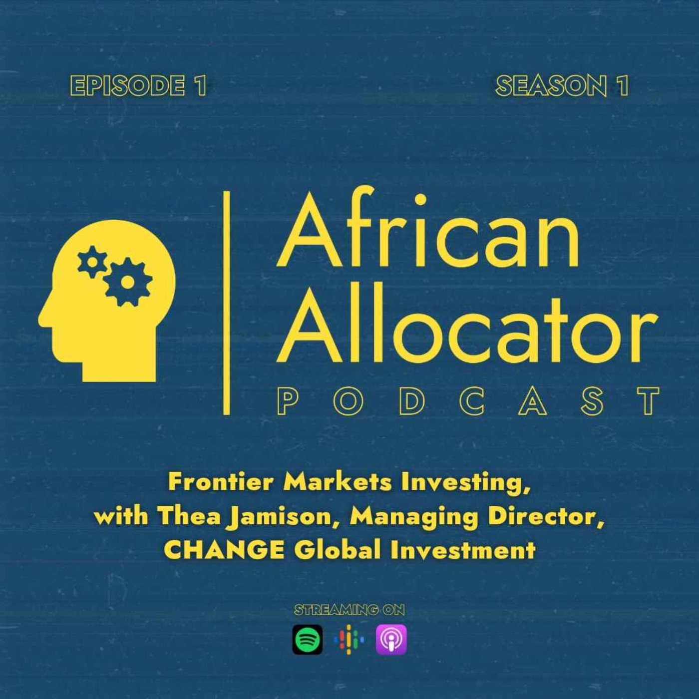 African Allocator Podcast