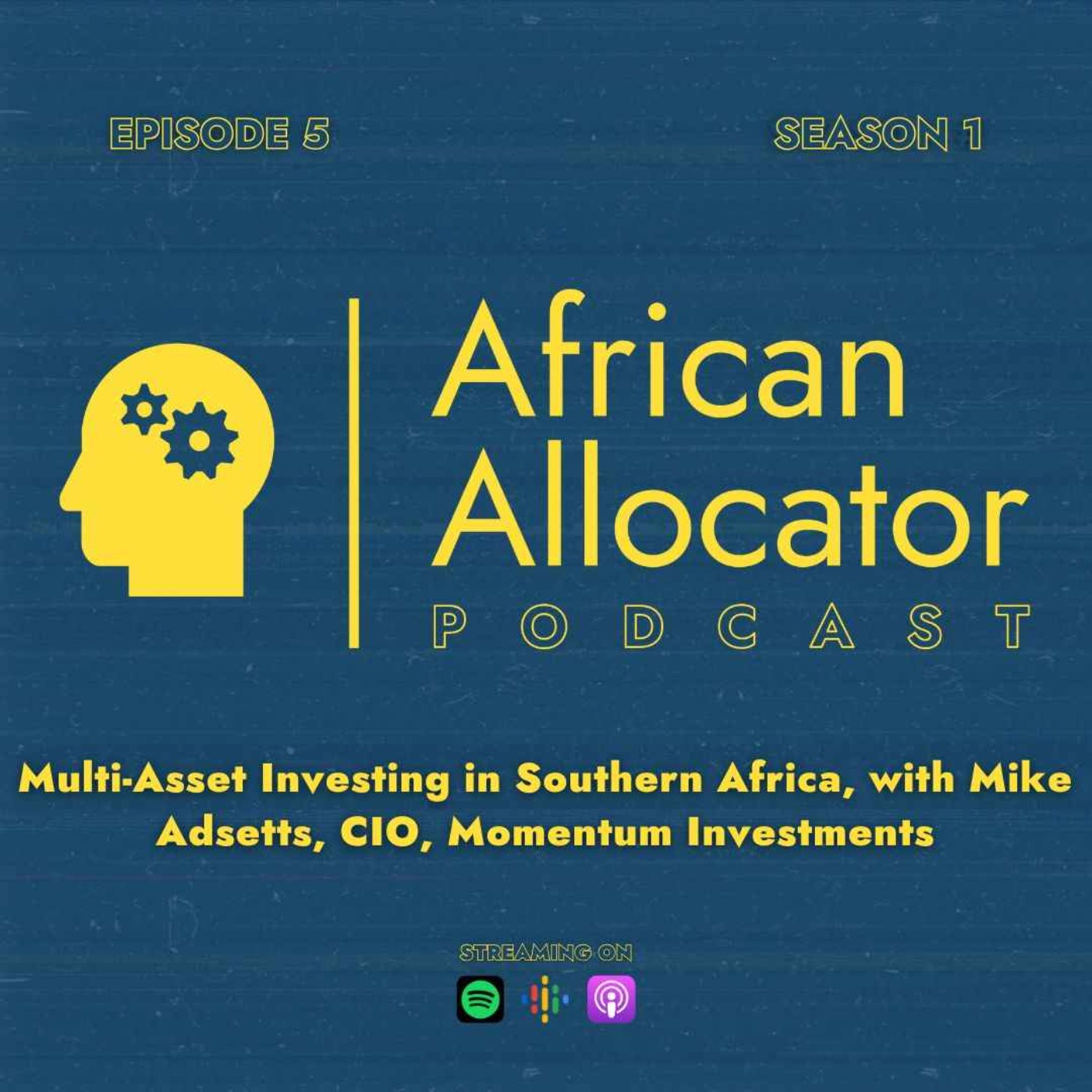 Multi-Asset Investing in Southern Africa, with Mike Adsetts, CIO, Momentum Investments