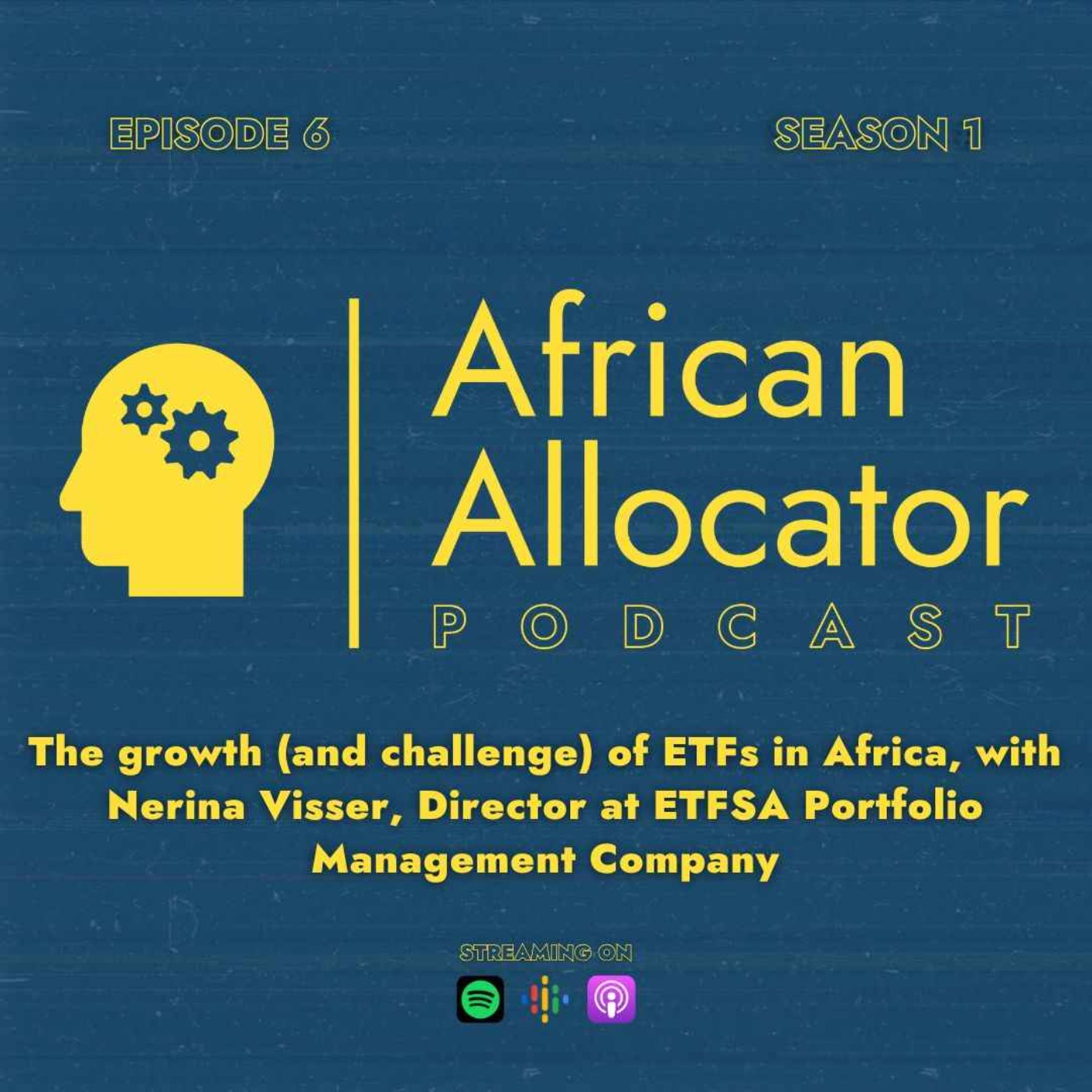 African Allocator Podcast