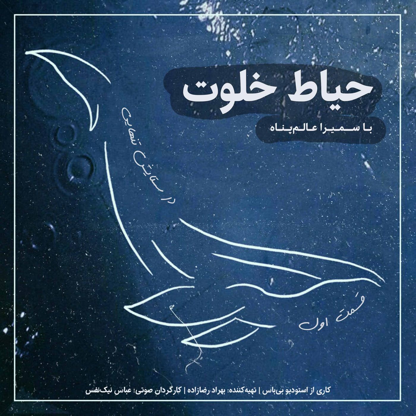 پادکست حیاط خلوت: در ستایش تنهایی