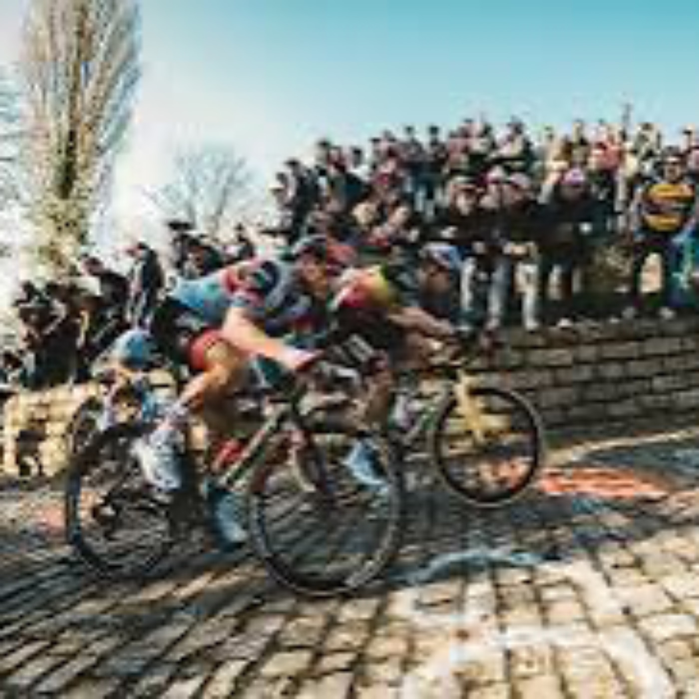 BK sport cyclisme