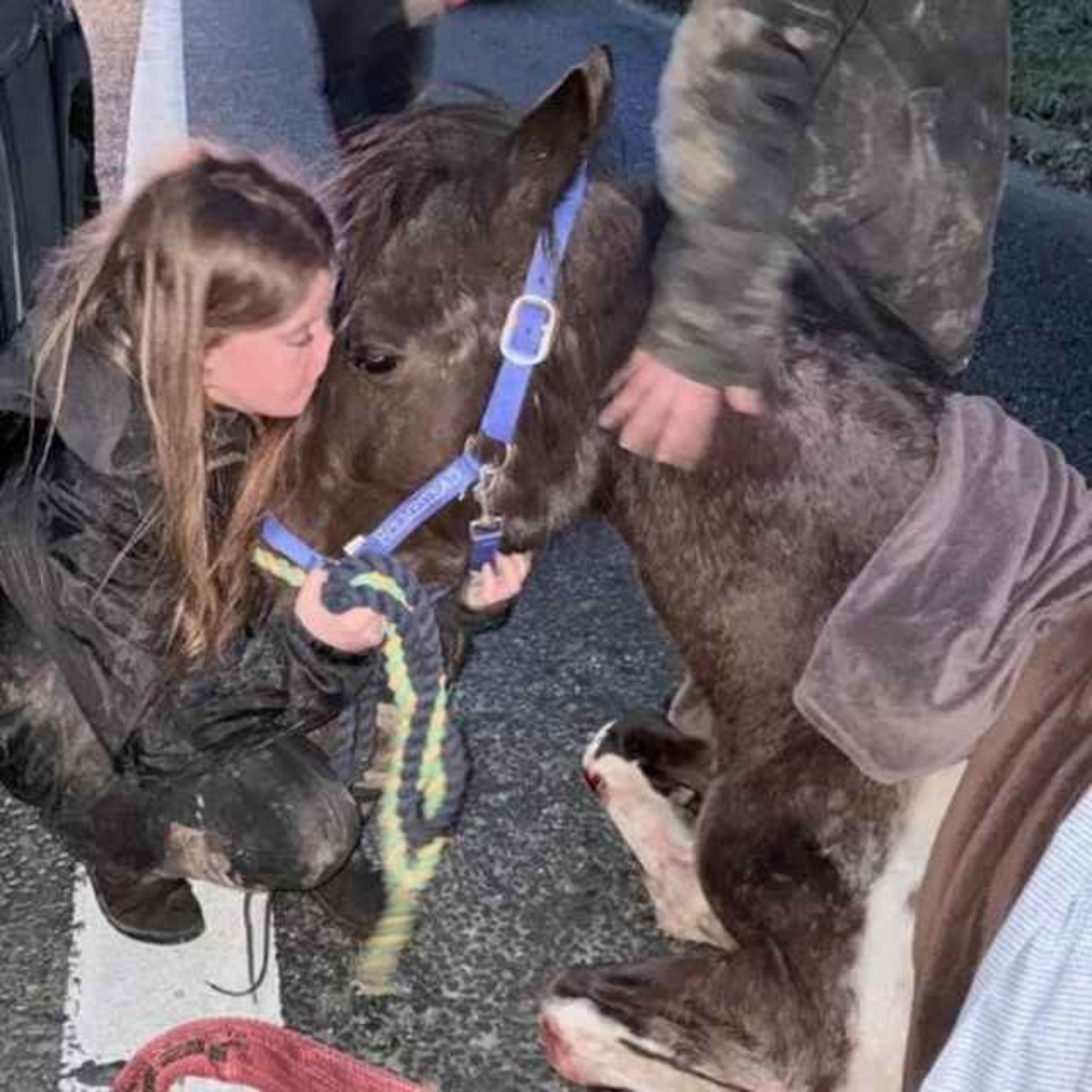 Aontu Politicians Call for End to Illegal Practice of Sulky Racing on Public Roads Following Death of Pregnant Horse - 10/02/2026 episode artwork