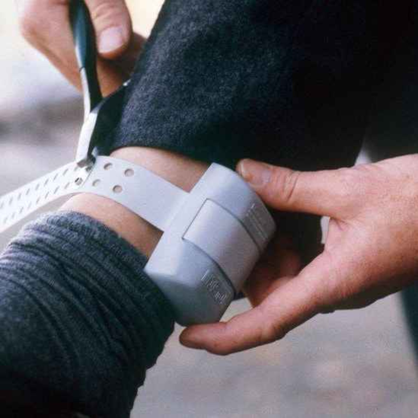 Minister’s Plans for Electronic Tagging of Prisoners Faces Fresh Delays - 18/03/2026 episode artwork