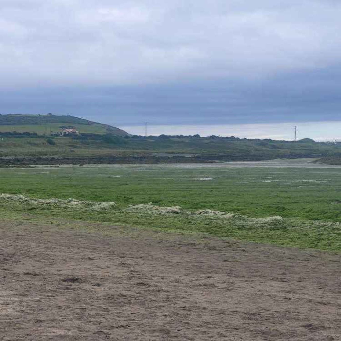 Louth Councillor Calls for Rotting Seaweed to be Tested Due to Possible Toxicitiy - 25/05/2026 episode artwork