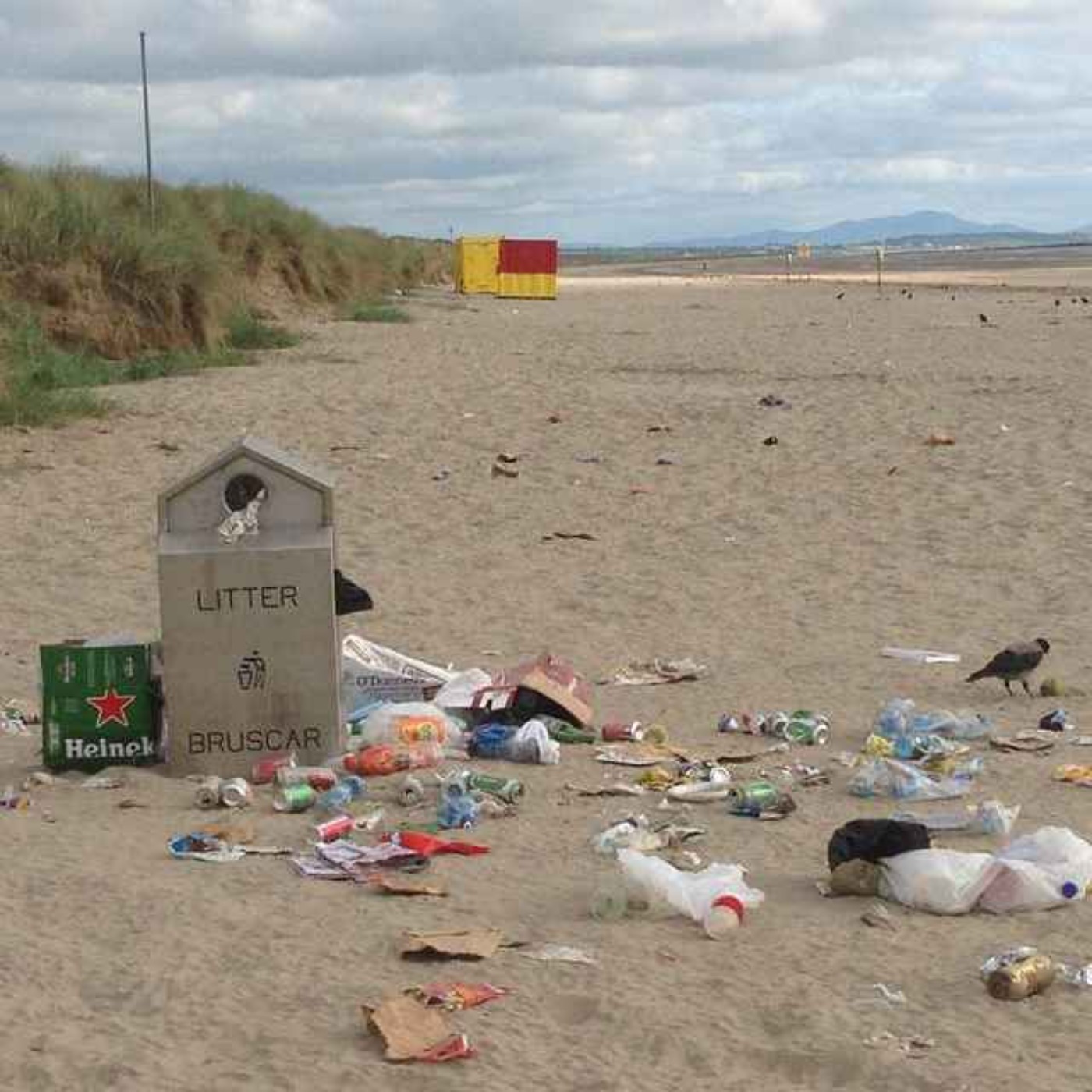 Louth Councillor Issues Urgent Appeal as Clogherhead Beach Left Covered in Litter Amid Warm Spell - 27/05/2026 episode artwork
