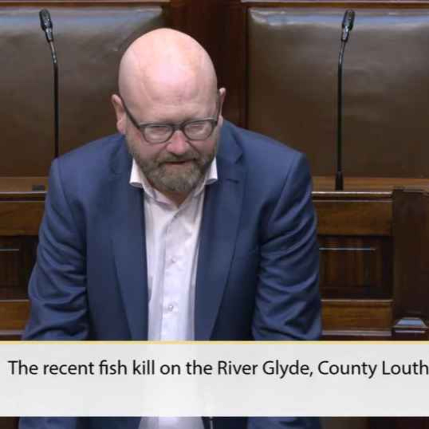 Louth TD Calls for Tougher Penalties Following River Glyde Fish Kill - 16/06/2026 episode artwork