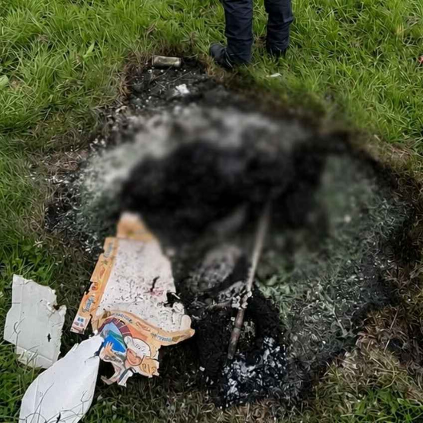 Shocking Investigation Launched As Remains of Burned Dog Discovered in Ballymun - 07/07/2026 episode artwork