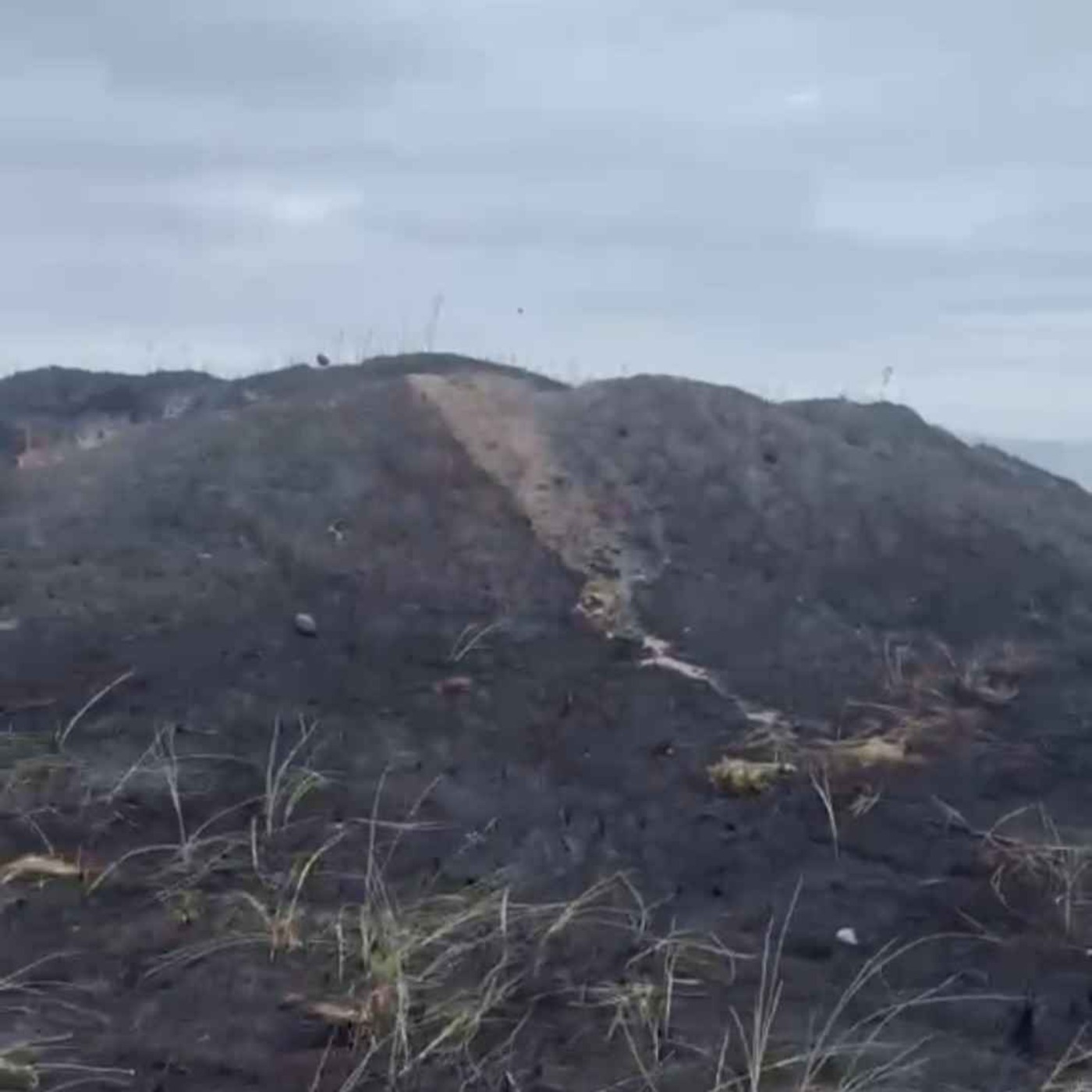 Fresh Fire at Bettystown Beach Dunes Sparks Renewed Concern - 10/08/2026 episode artwork