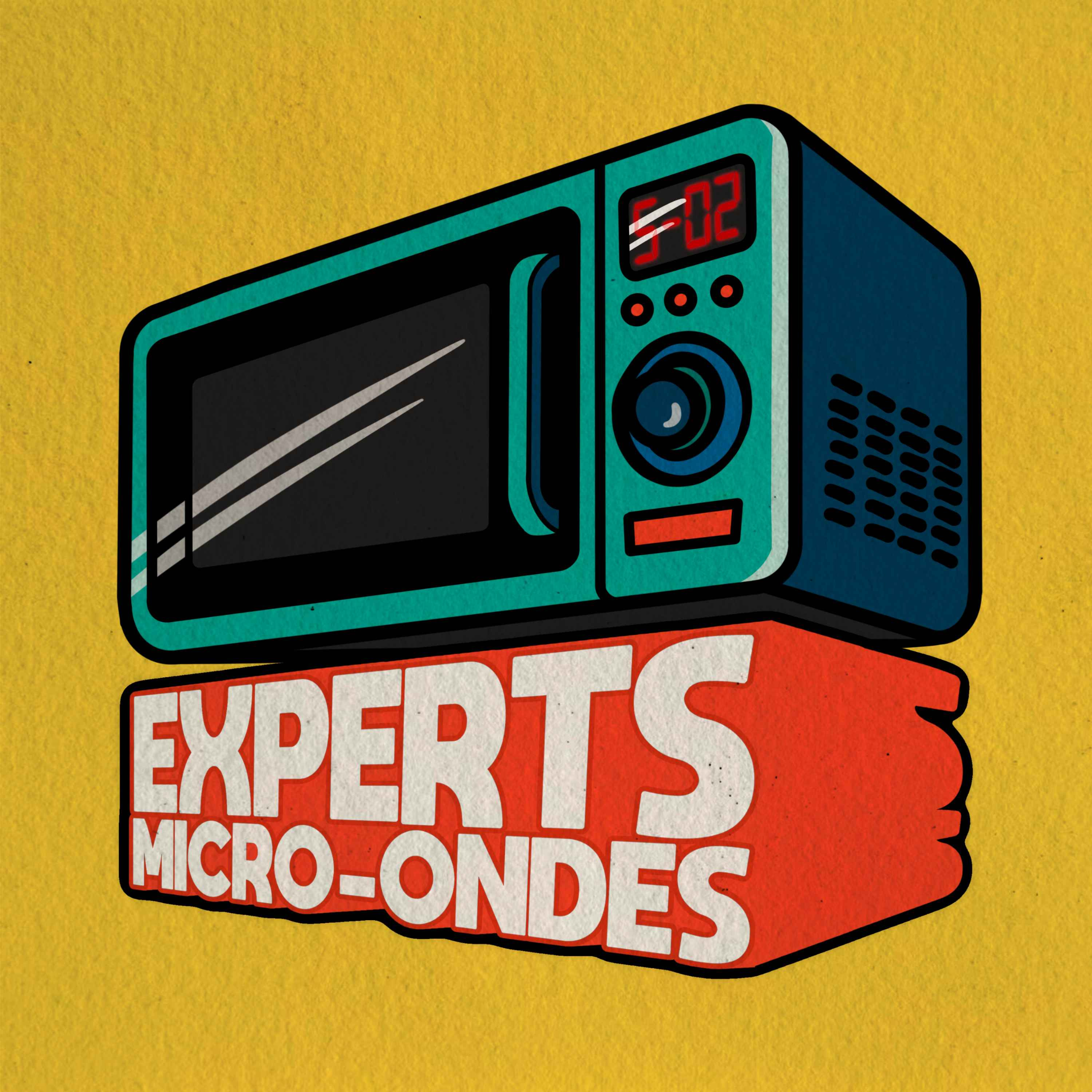 EXPERTS MICRO-ONDES