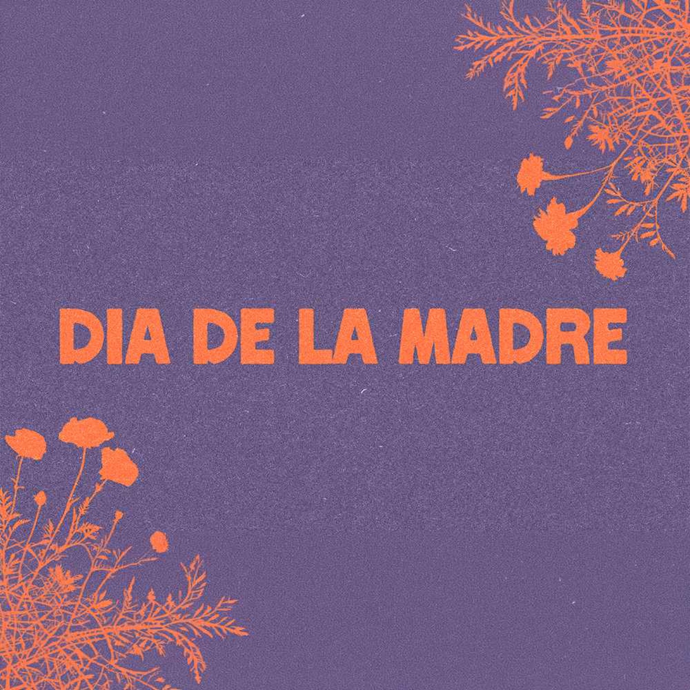 Cindy Gonzalez | Dia de la Madre episode artwork