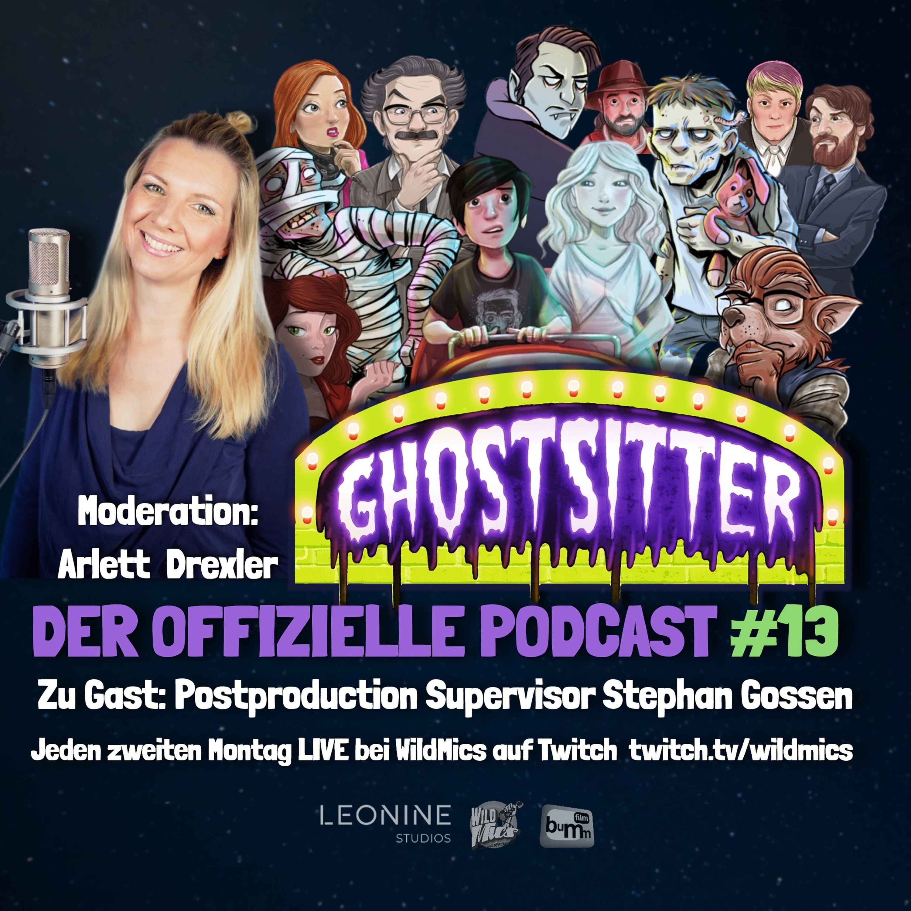 #13 Gast: Postproduction Supervisor Stephan Gossen episode artwork
