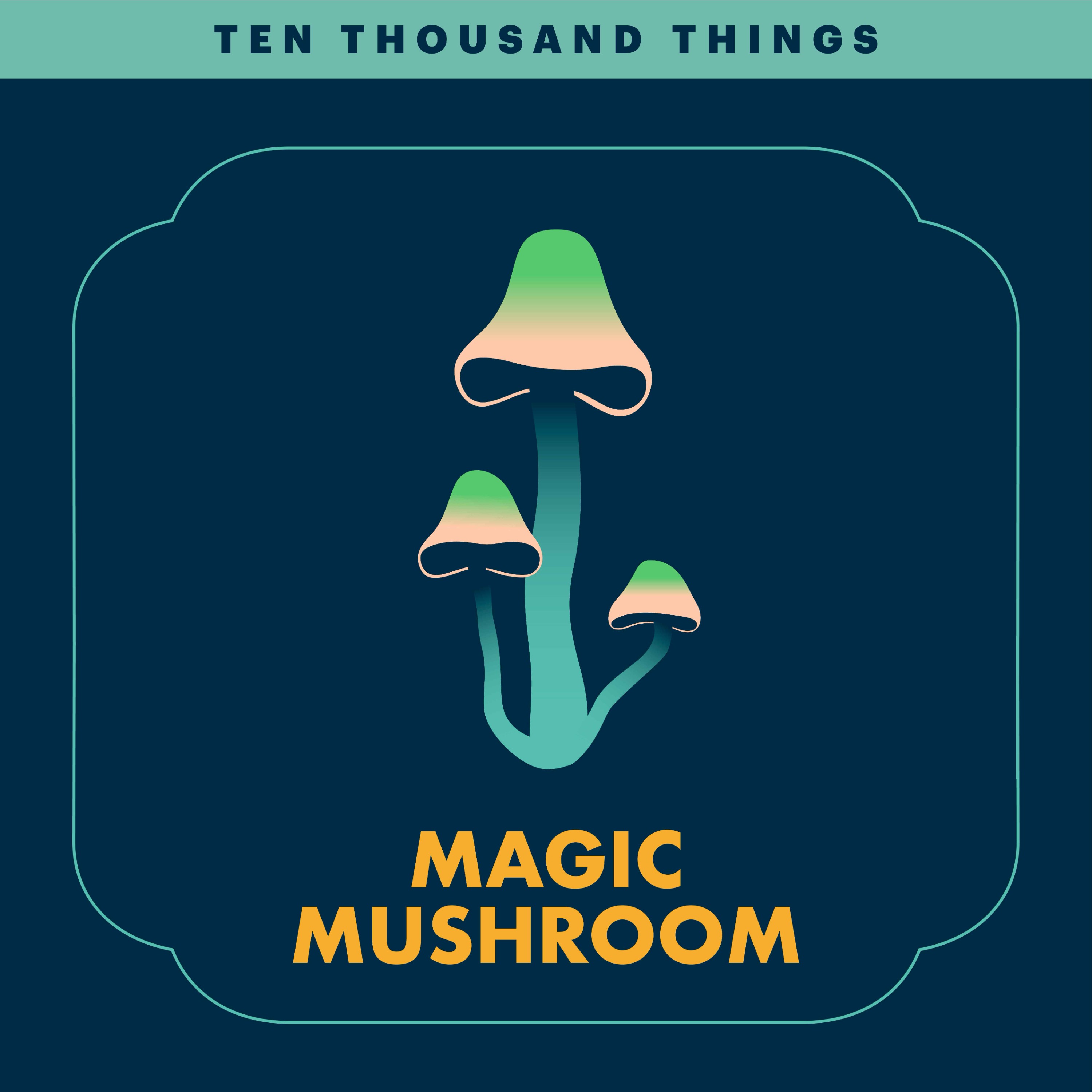 Magic Mushroom