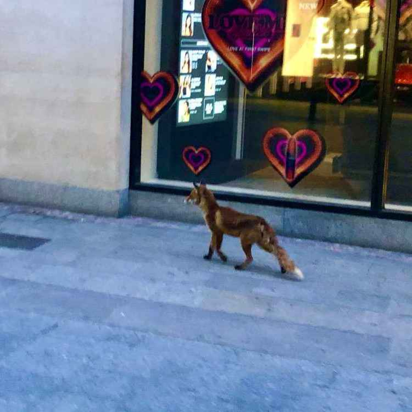 Dublin Today