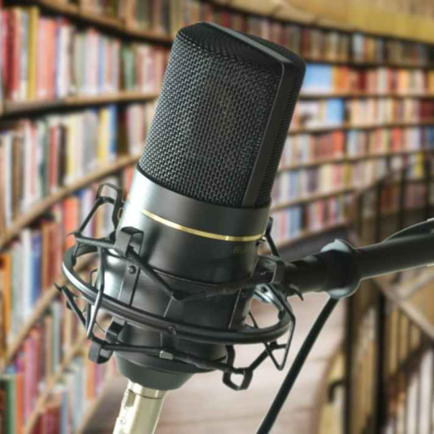 PLUS DE LIVRES EPISODE 5  MARS 2025