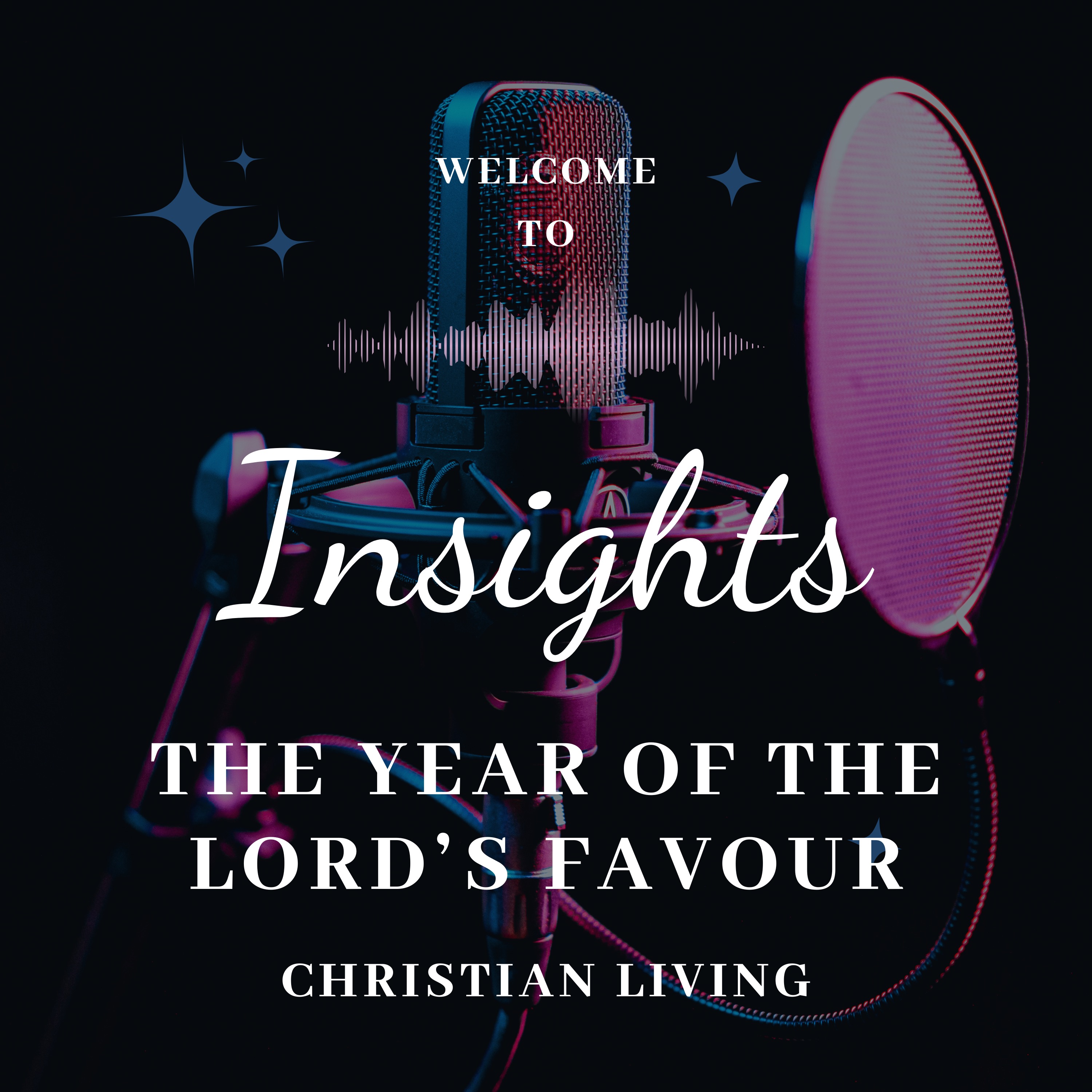The Year of the Lord's Favour episode artwork