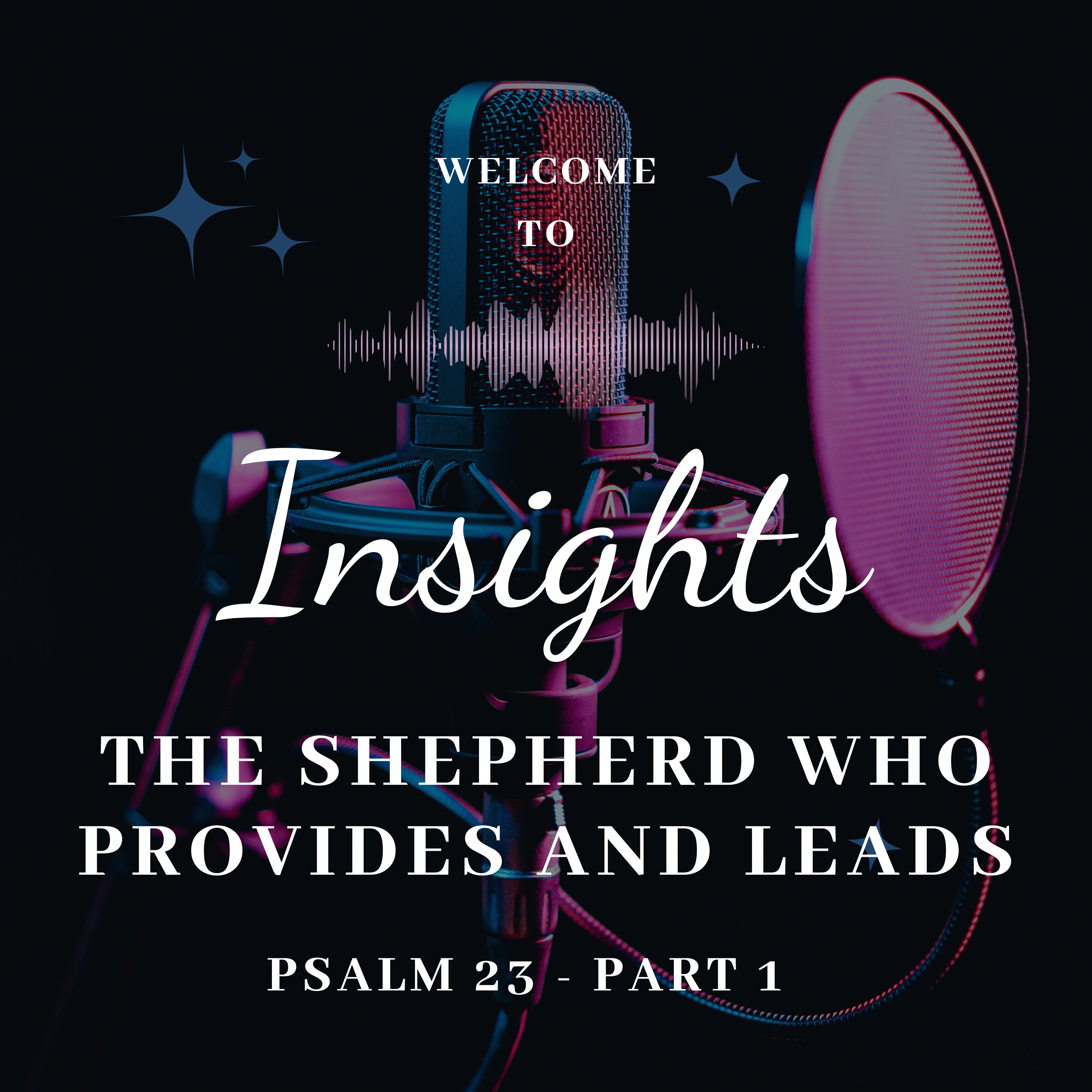 The Shepherd Who Provides and Leads episode artwork