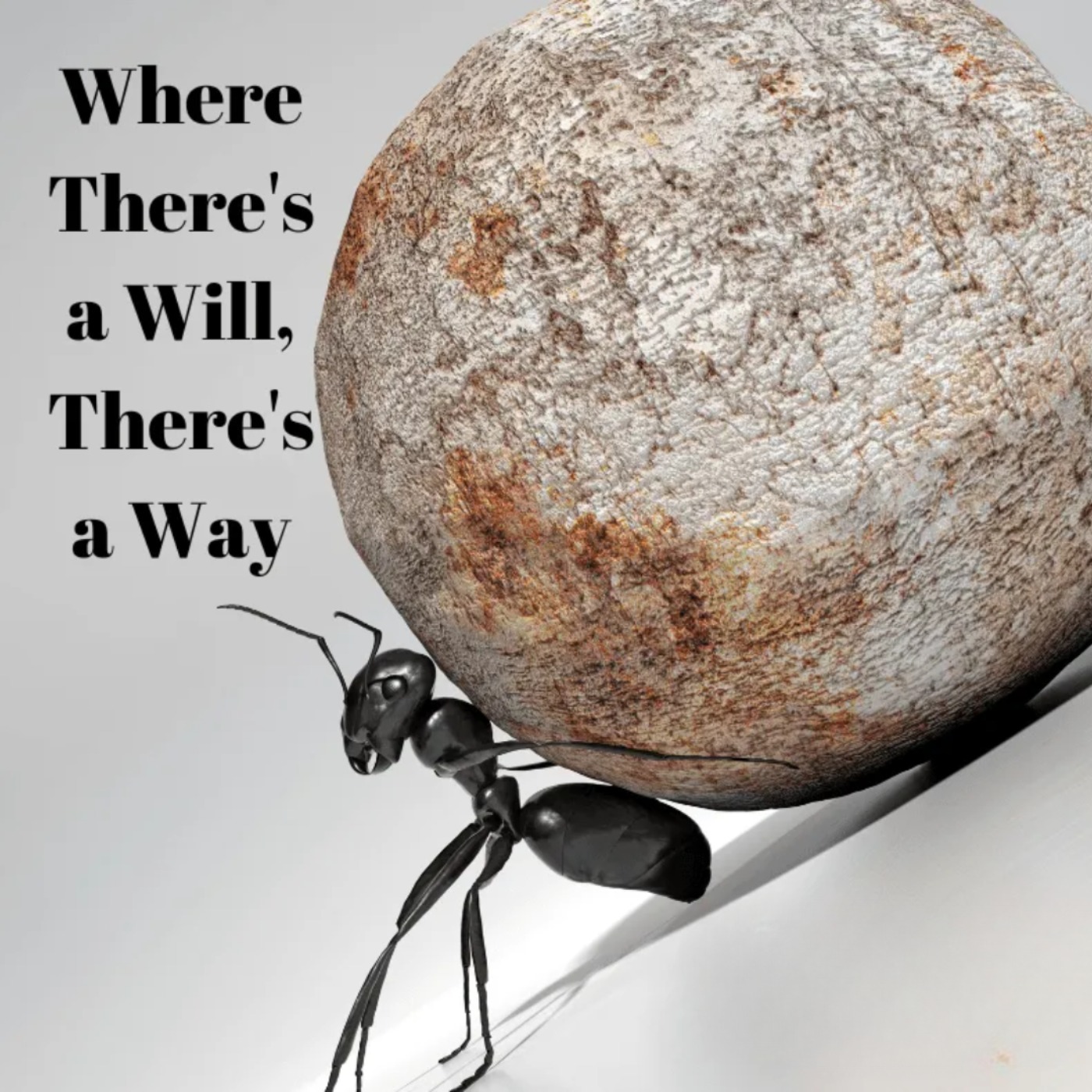 Breaking Language Barriers: Where There's a Will, There's a Way