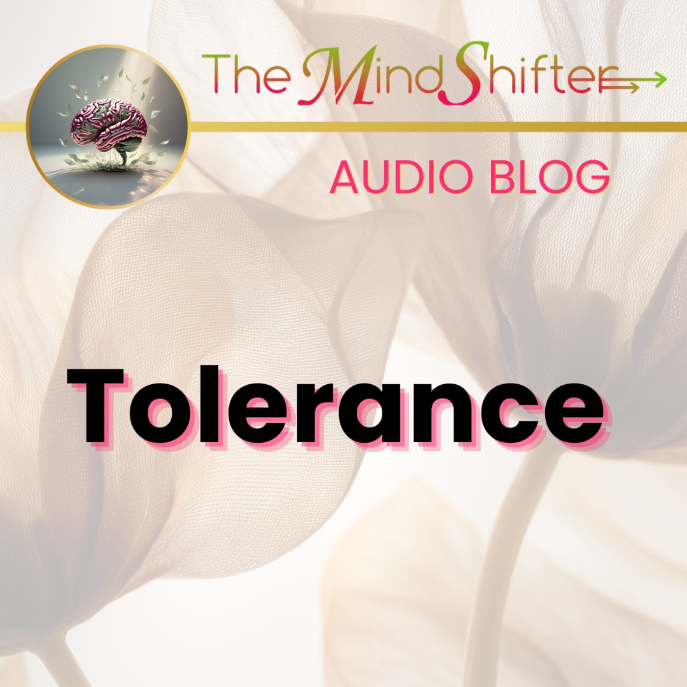 Tolerance episode artwork