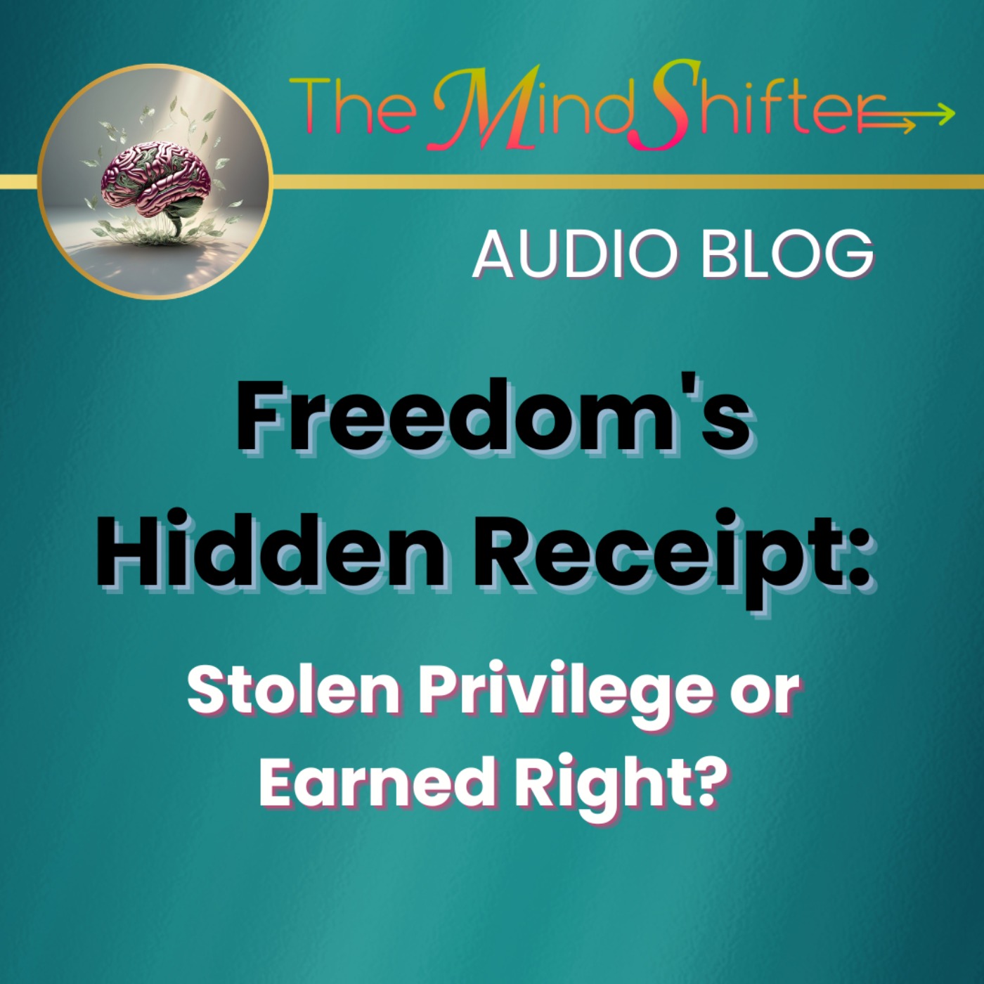 Freedom's Hidden Receipt: Stolen Privilege or Earned Right? episode artwork