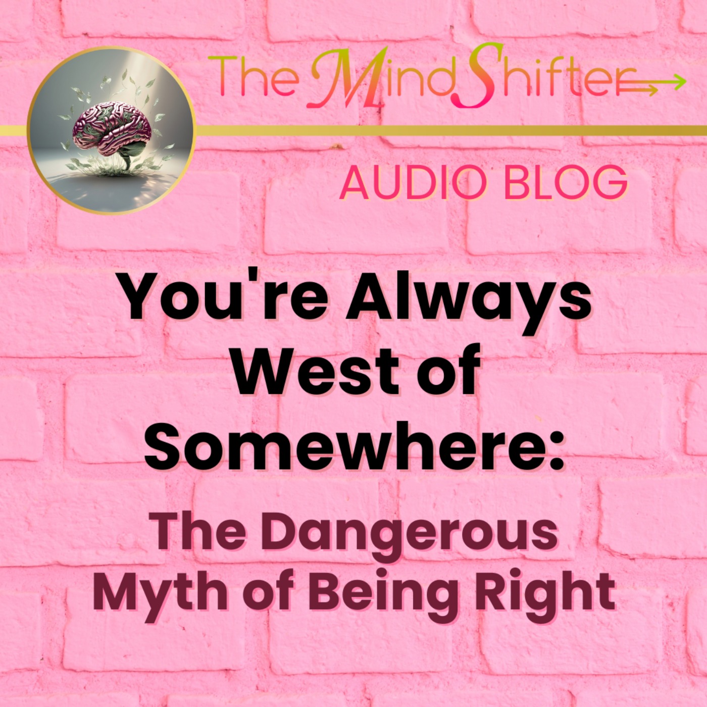 You're Always West of Somewhere: The Dangerous Myth of Being Right episode artwork
