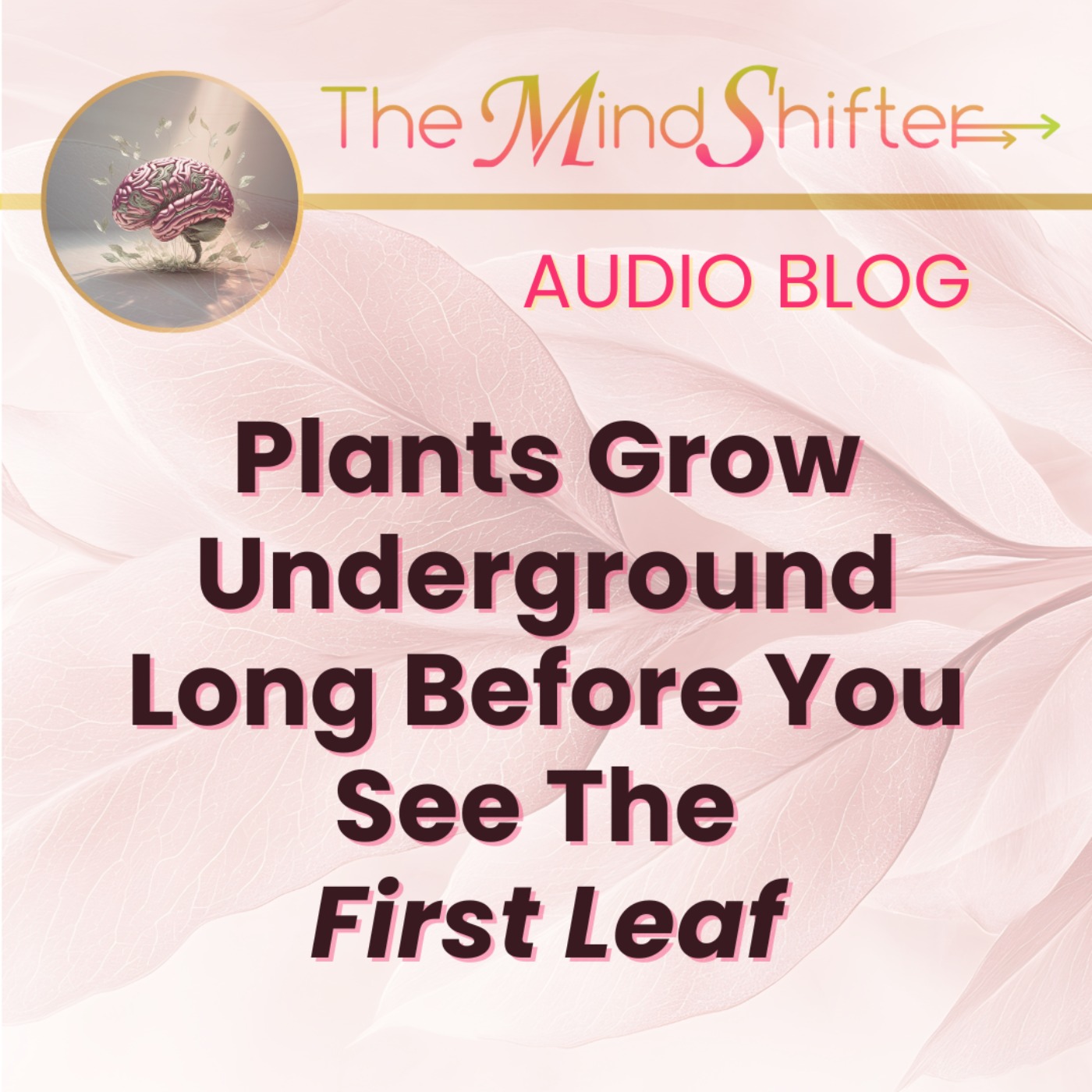 Plants Grow Underground Long Before You See the First Leaf episode artwork