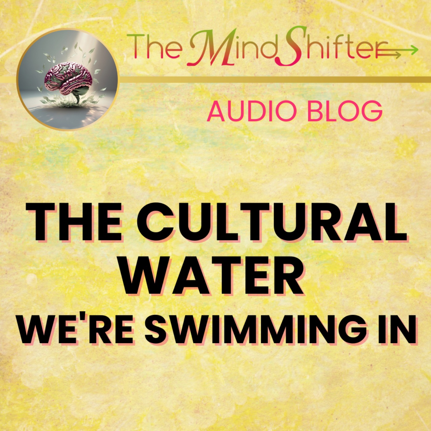 The Cultural Water We're Swimming In episode artwork