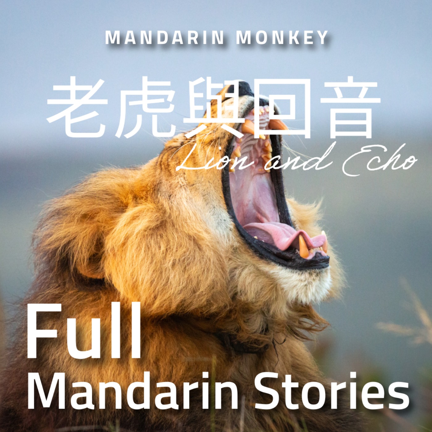 老虎與回音 Lion and Echo