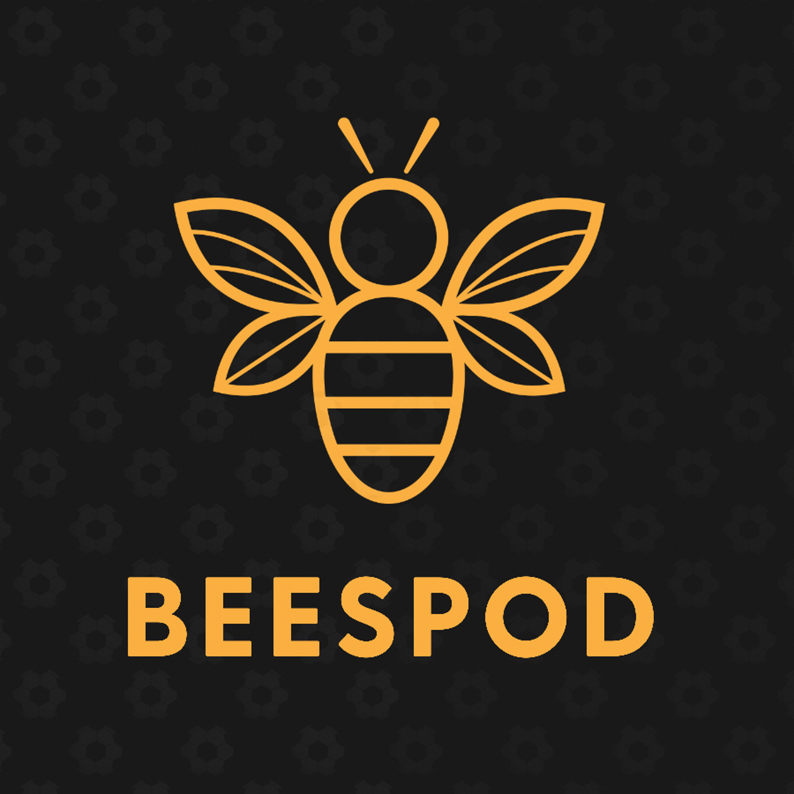 BeesPod - Barnet FC Podcast