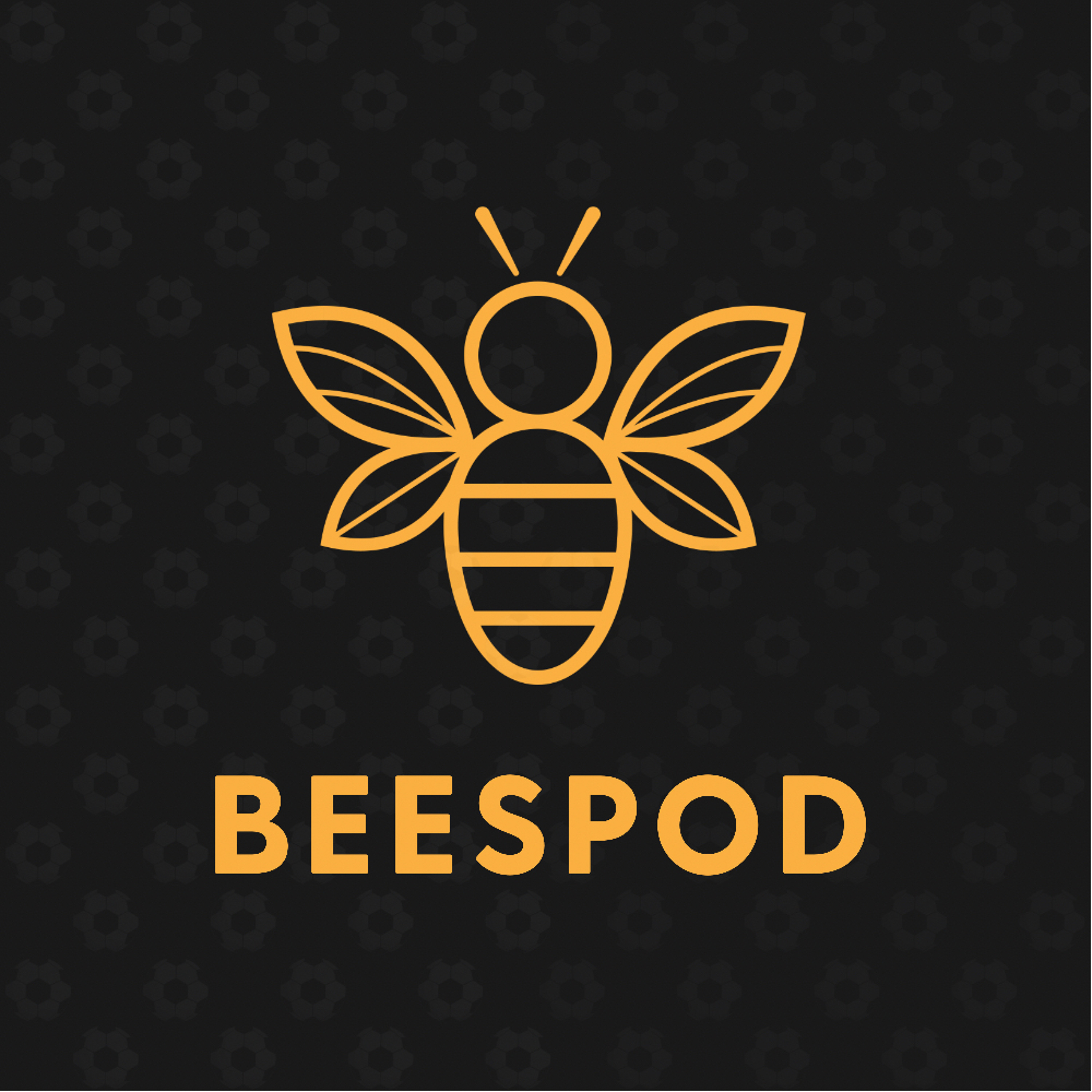 BeesPod - Barnet FC Podcast