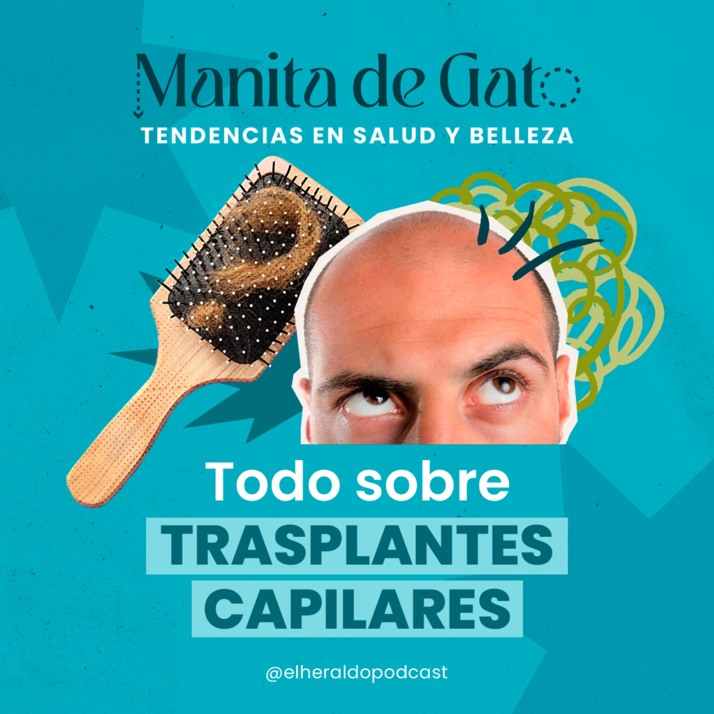 Portada de Manita de Gato
