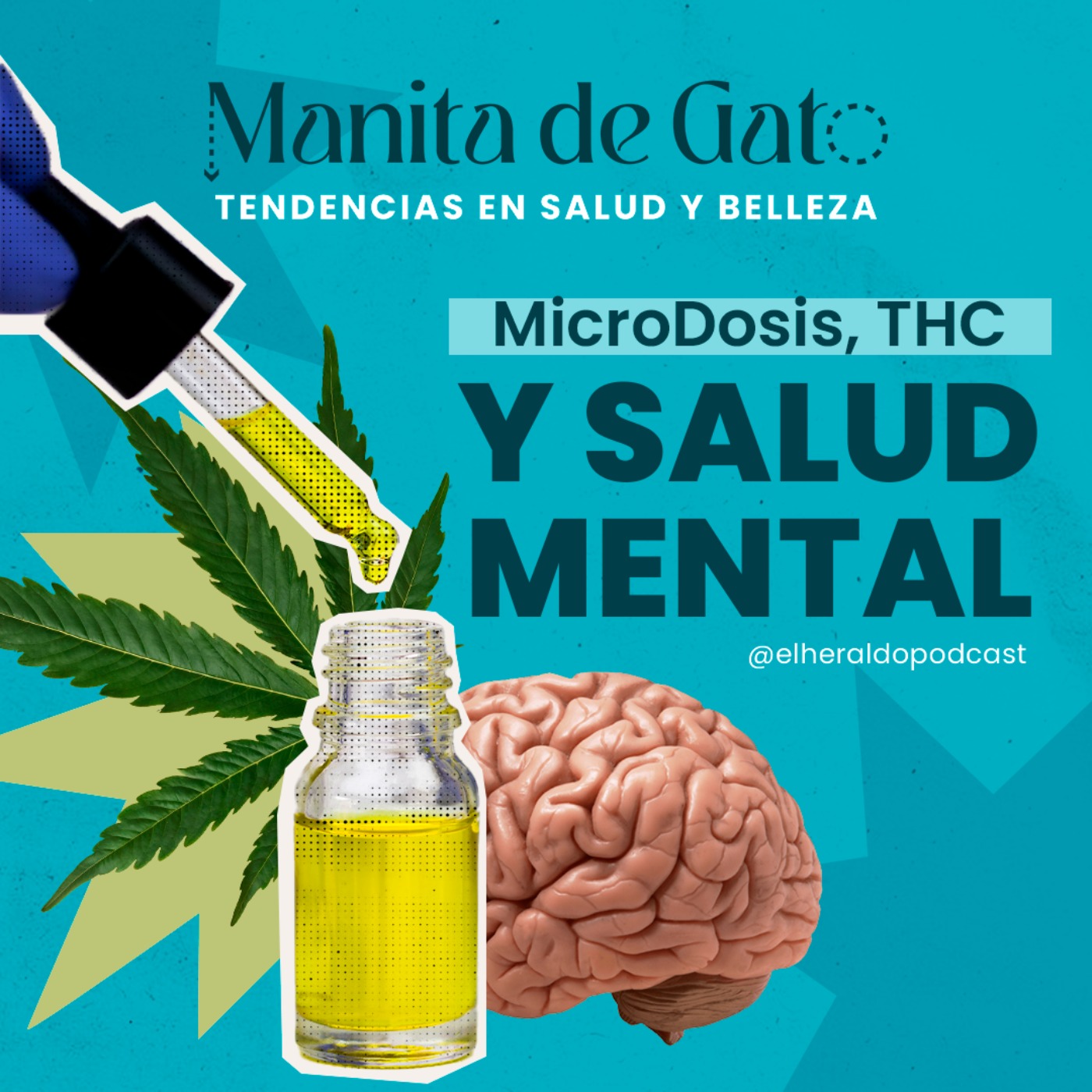 Portada de Manita de Gato